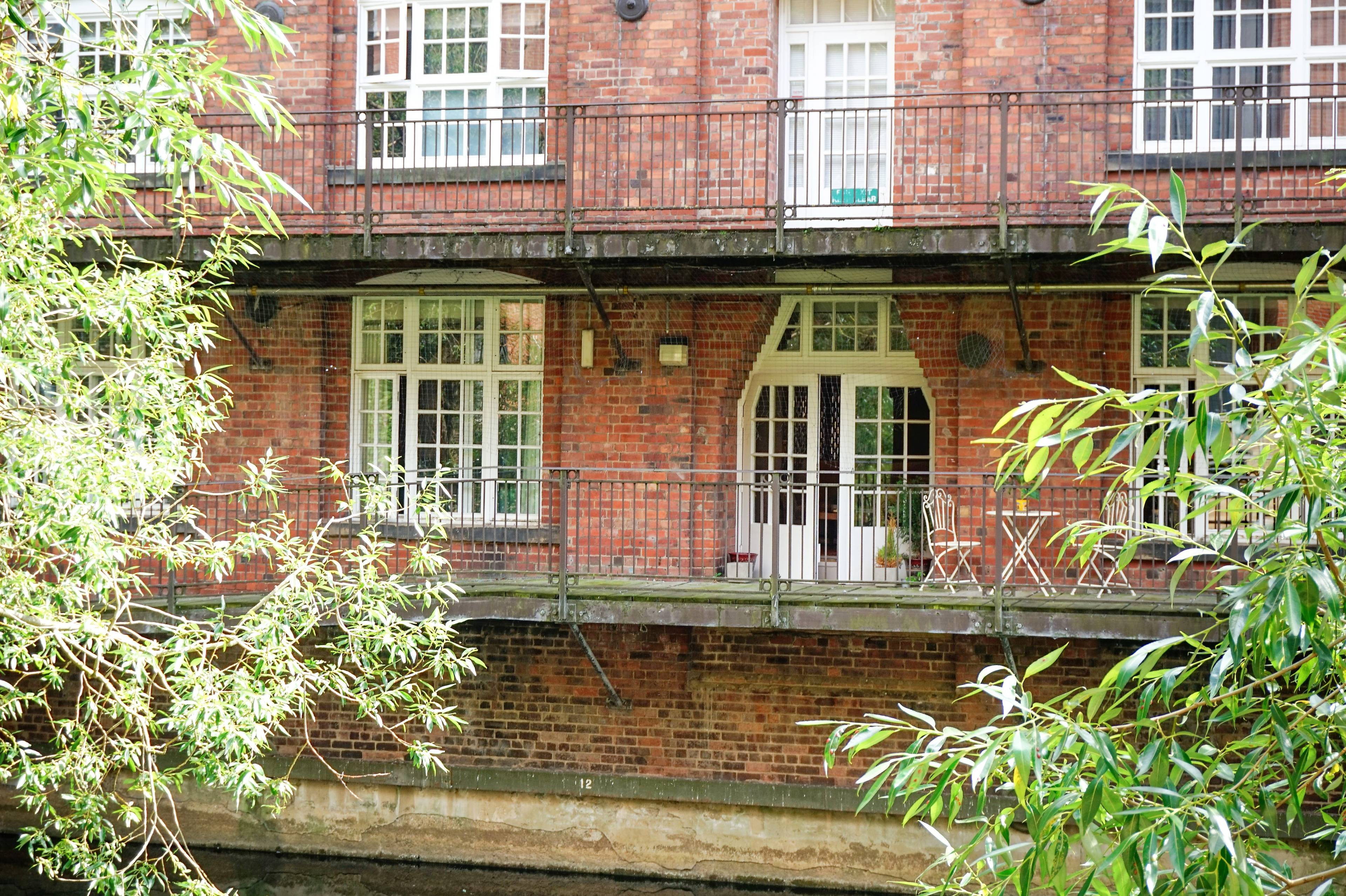Rear View