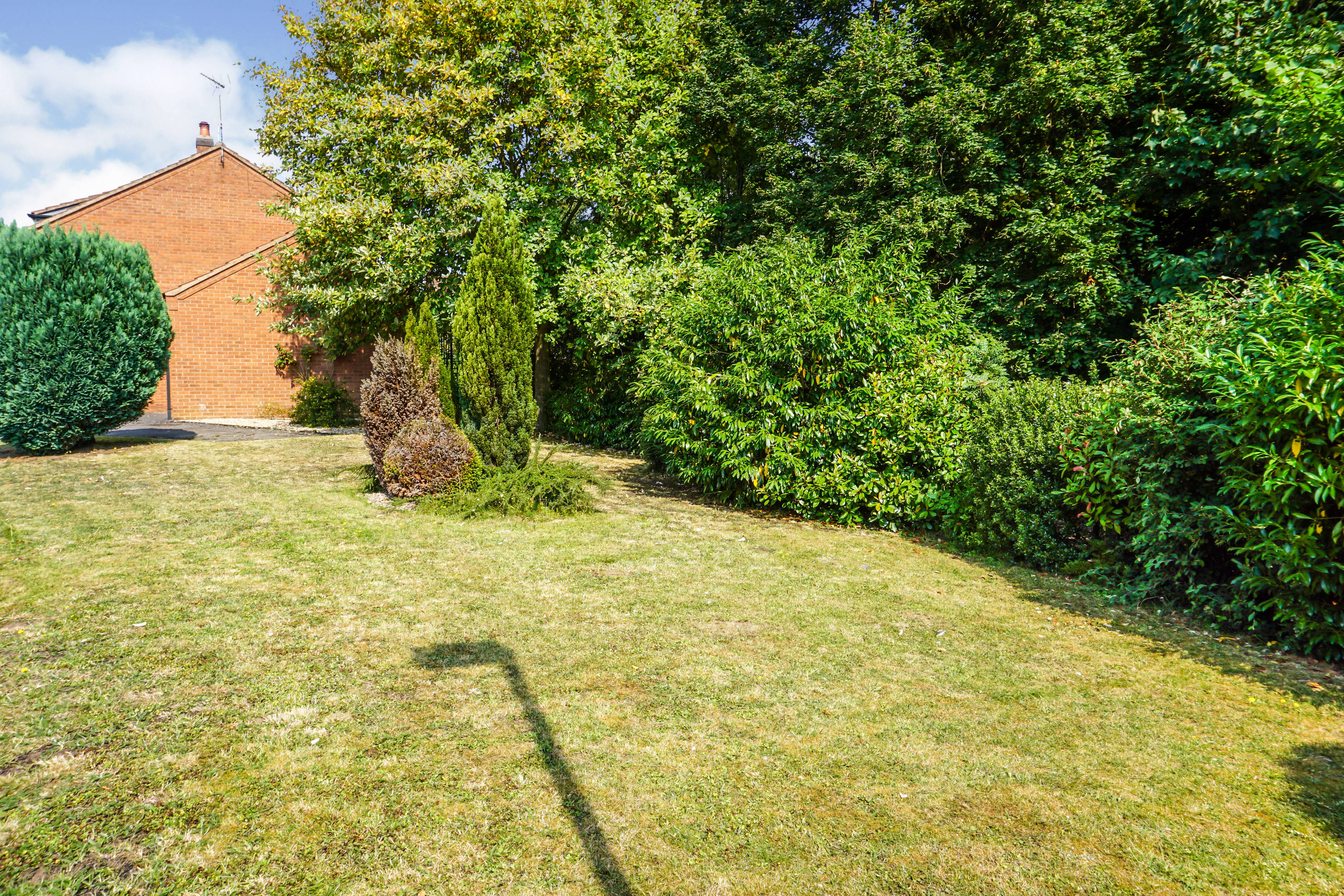 Side Garden