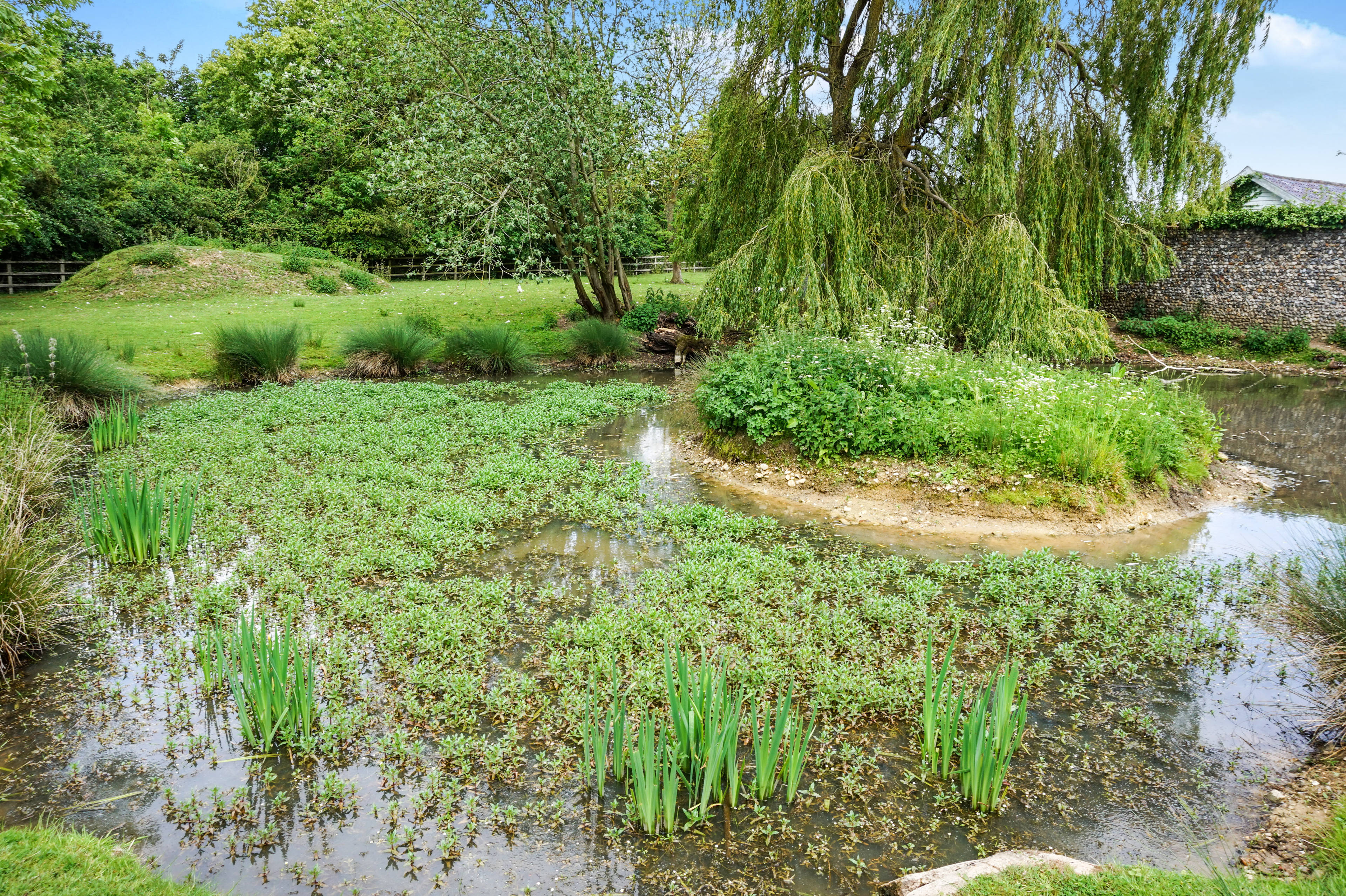 Grounds