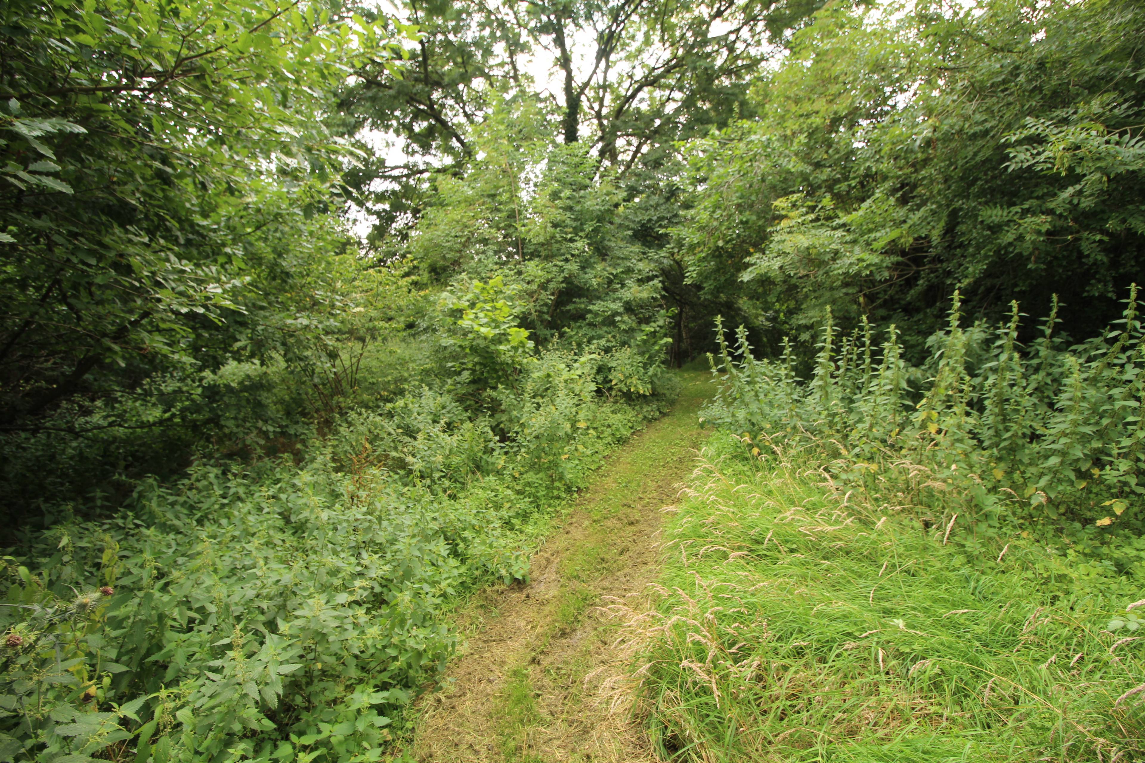 Grounds