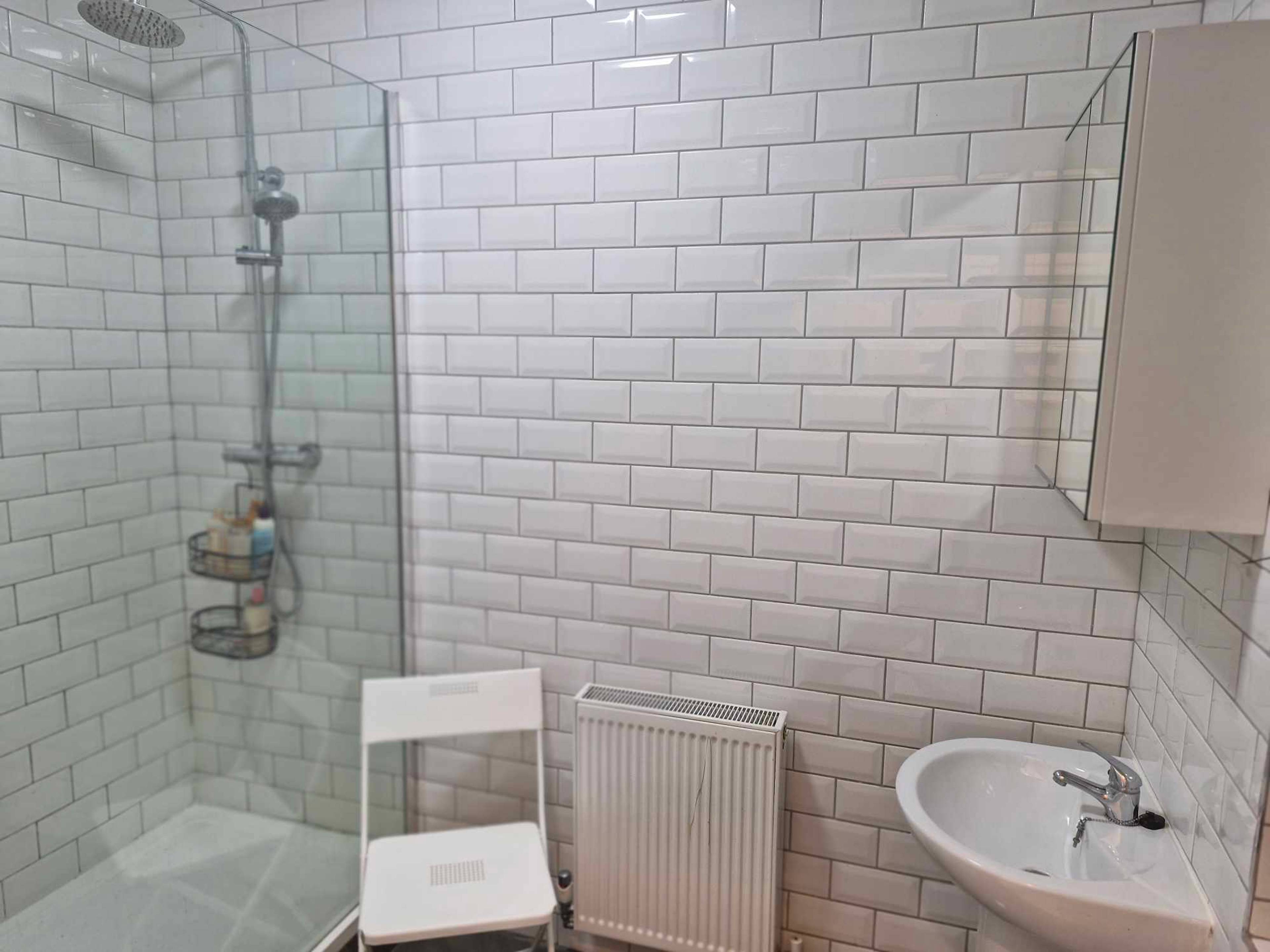 Downstairs Shower