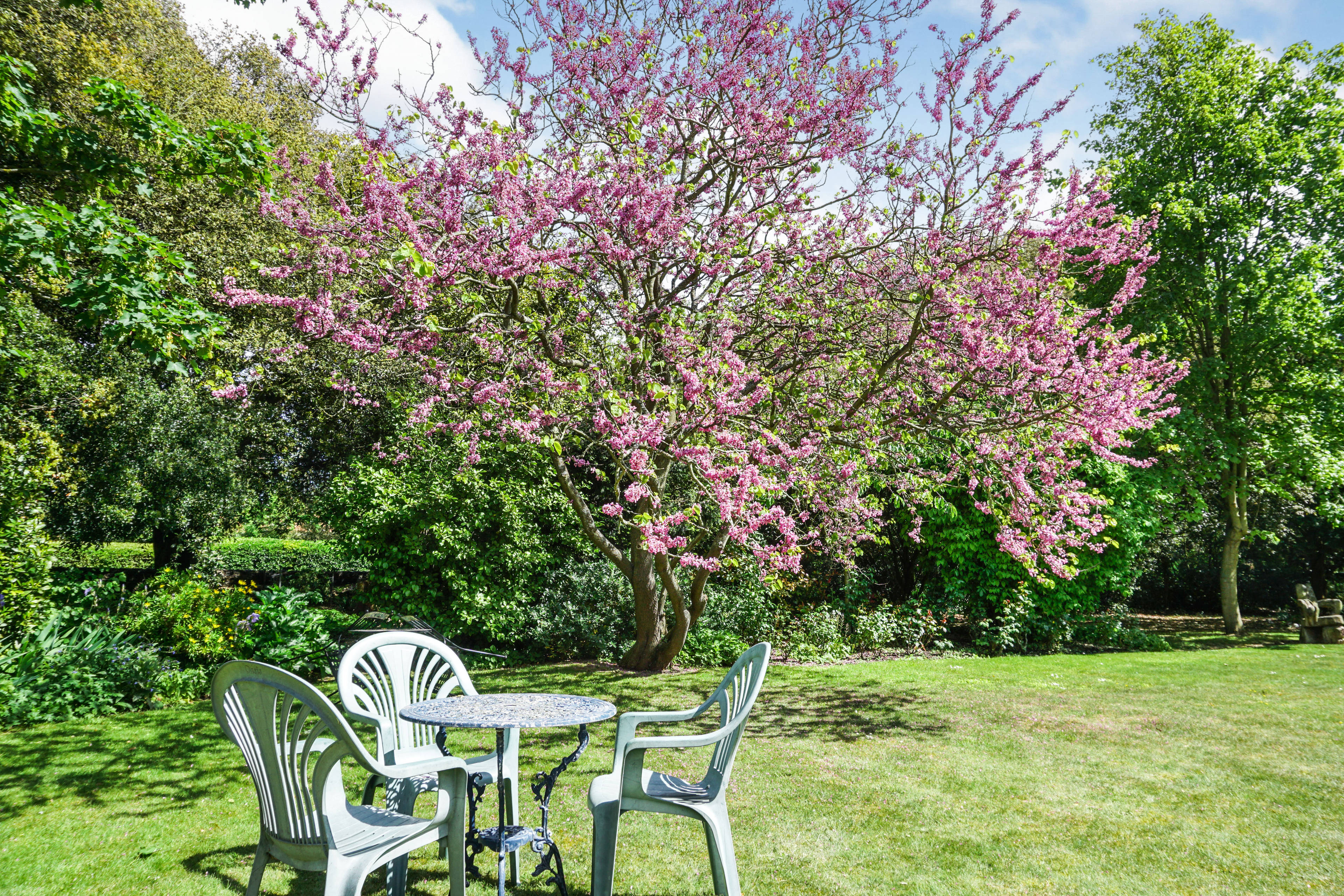 Communal Gardens