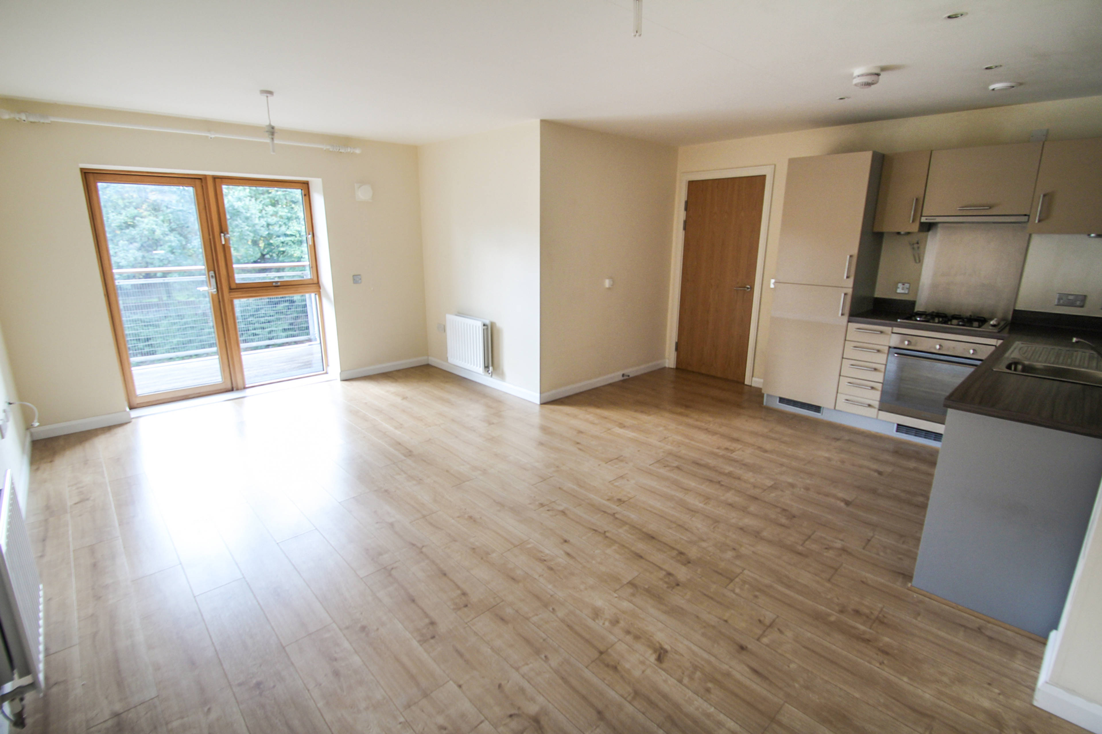 Lounge / Kitchen