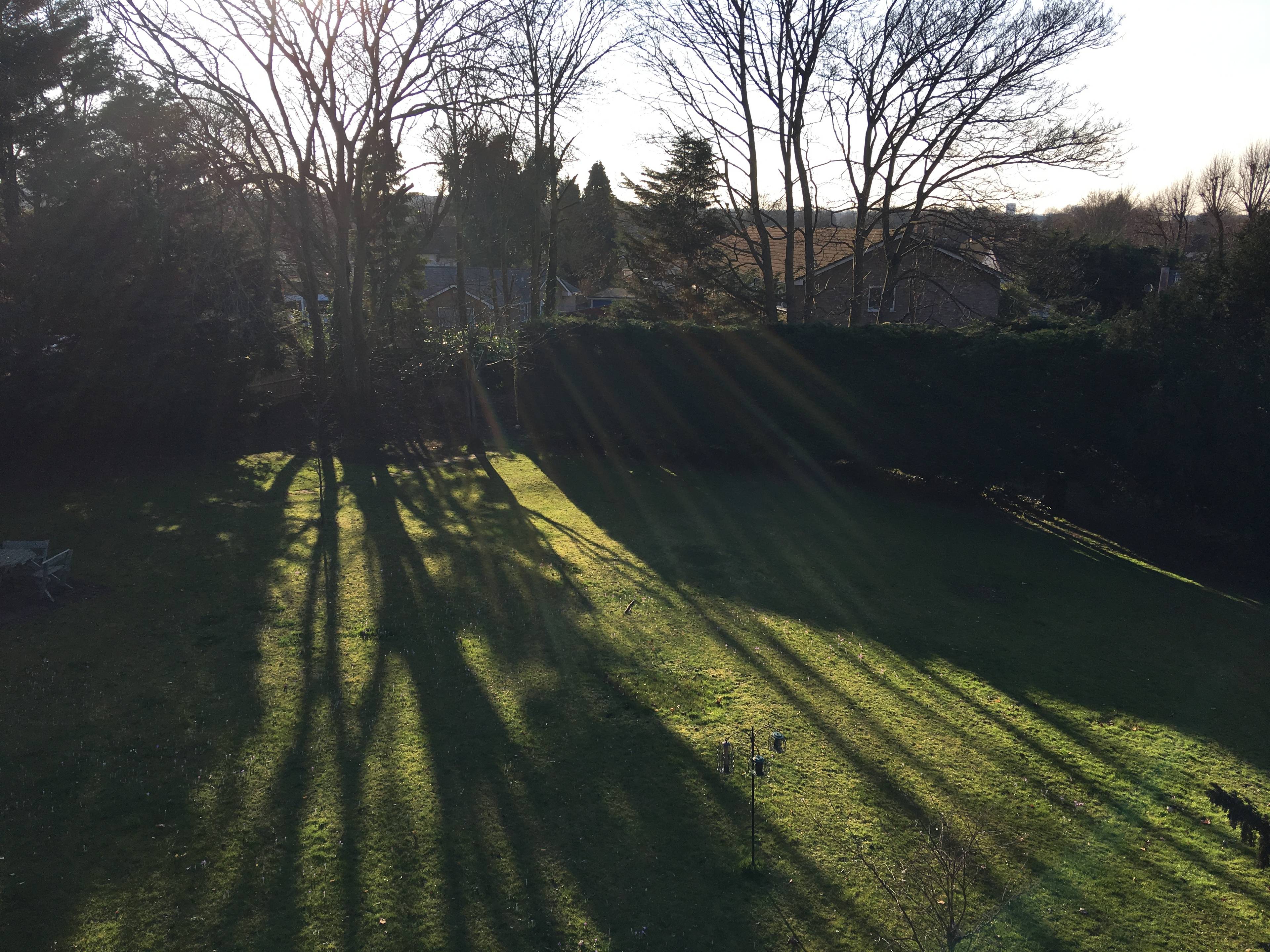 Communal Gardens