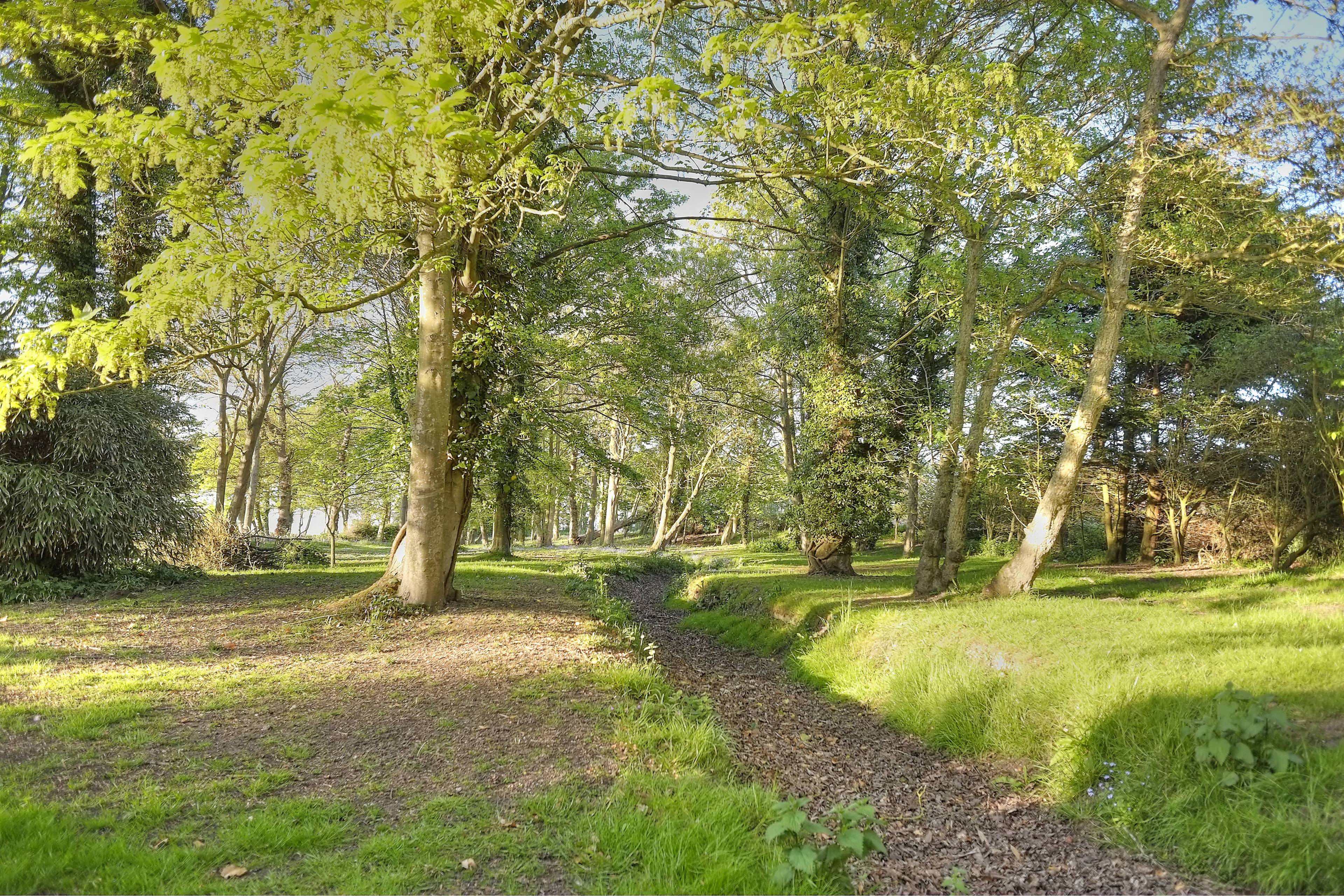 Grounds