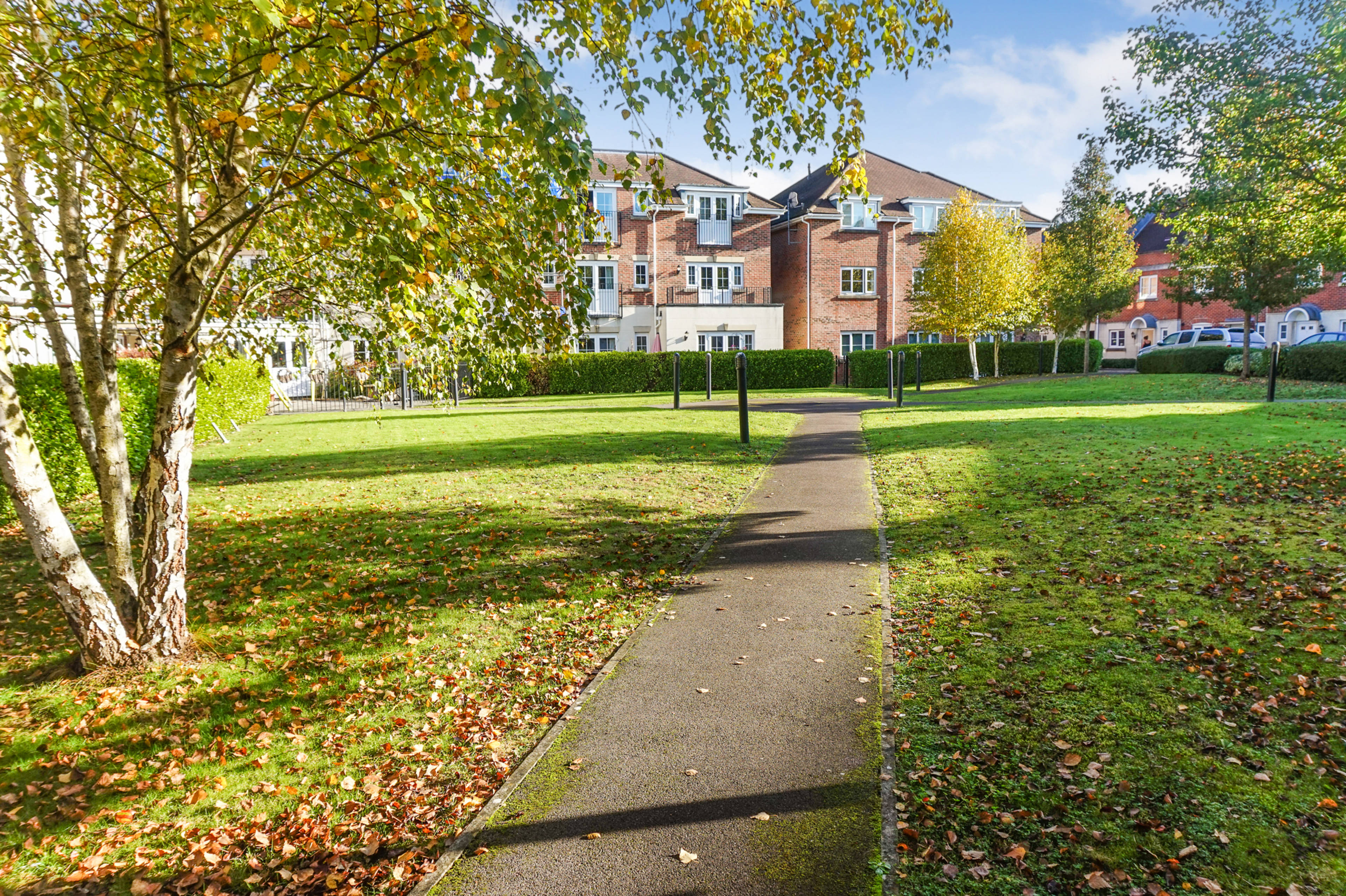 Communal Gardens