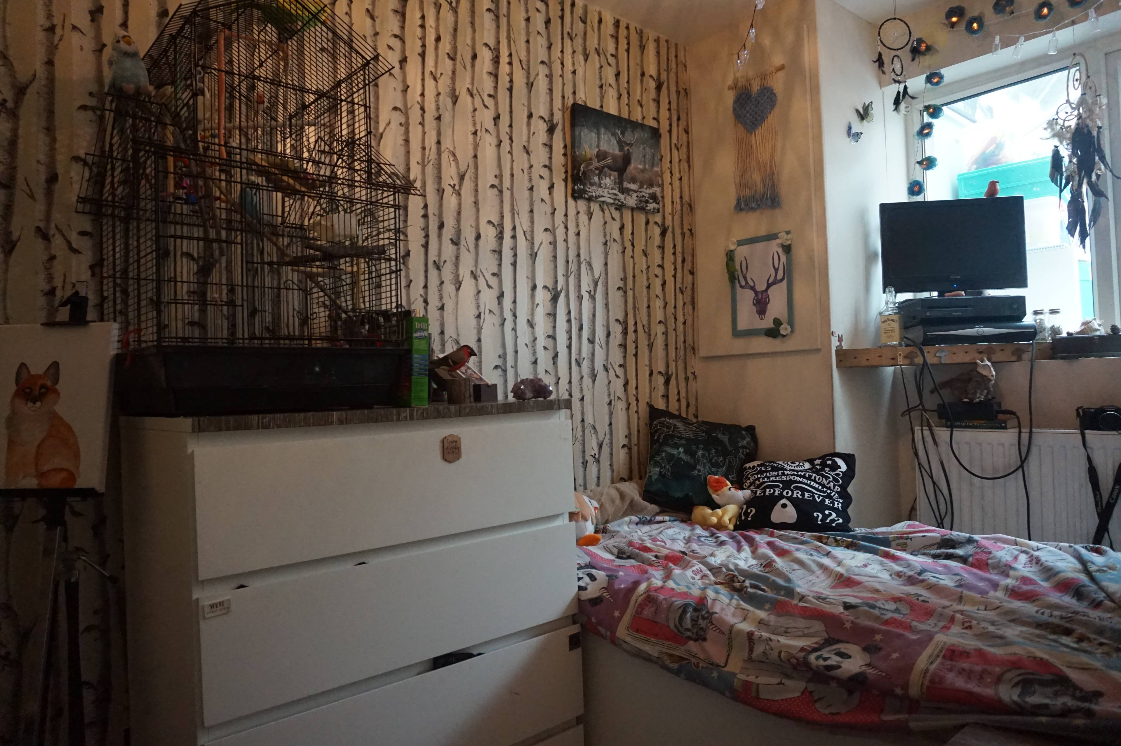 Bedroom Four / Study