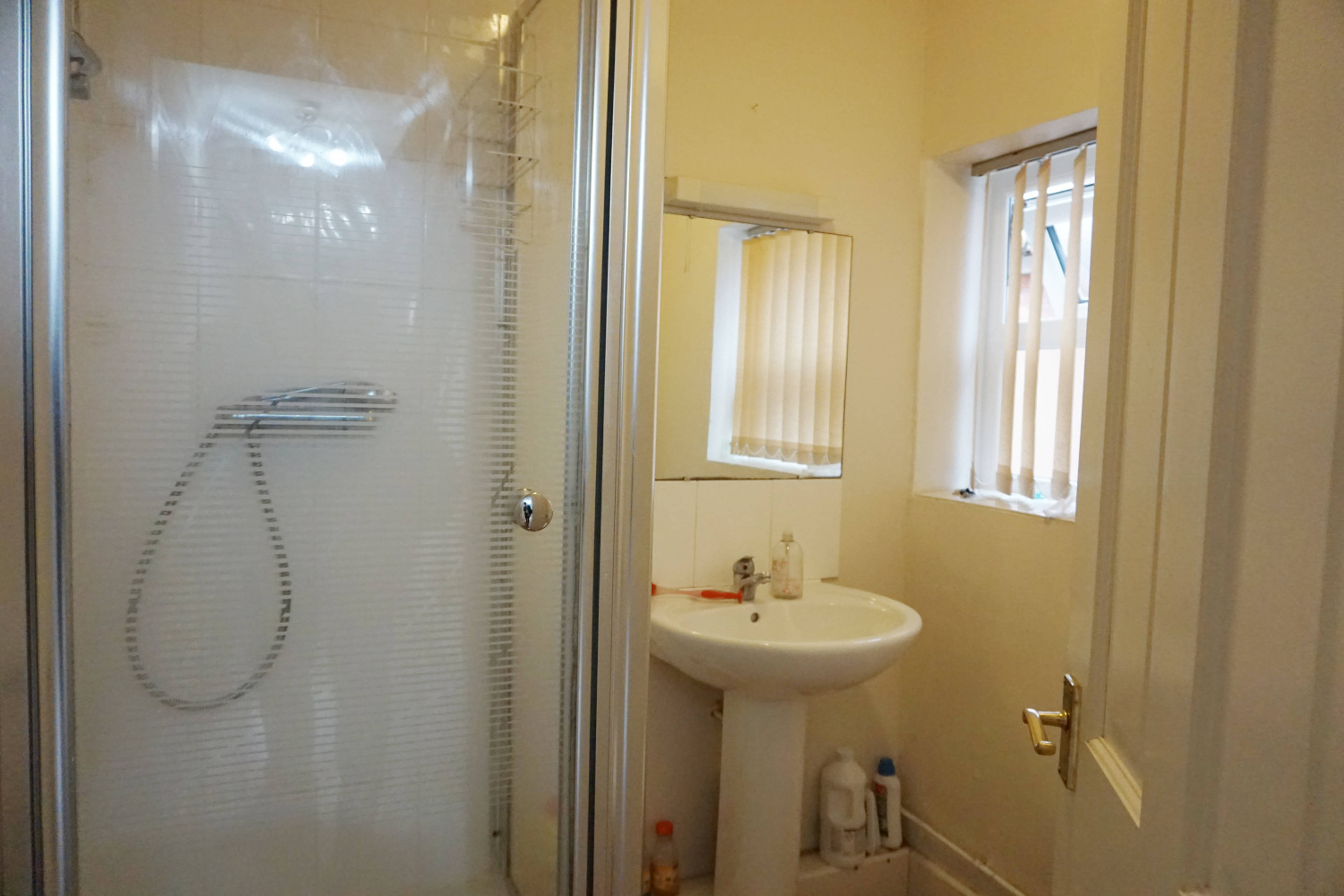 Downstairs Shower