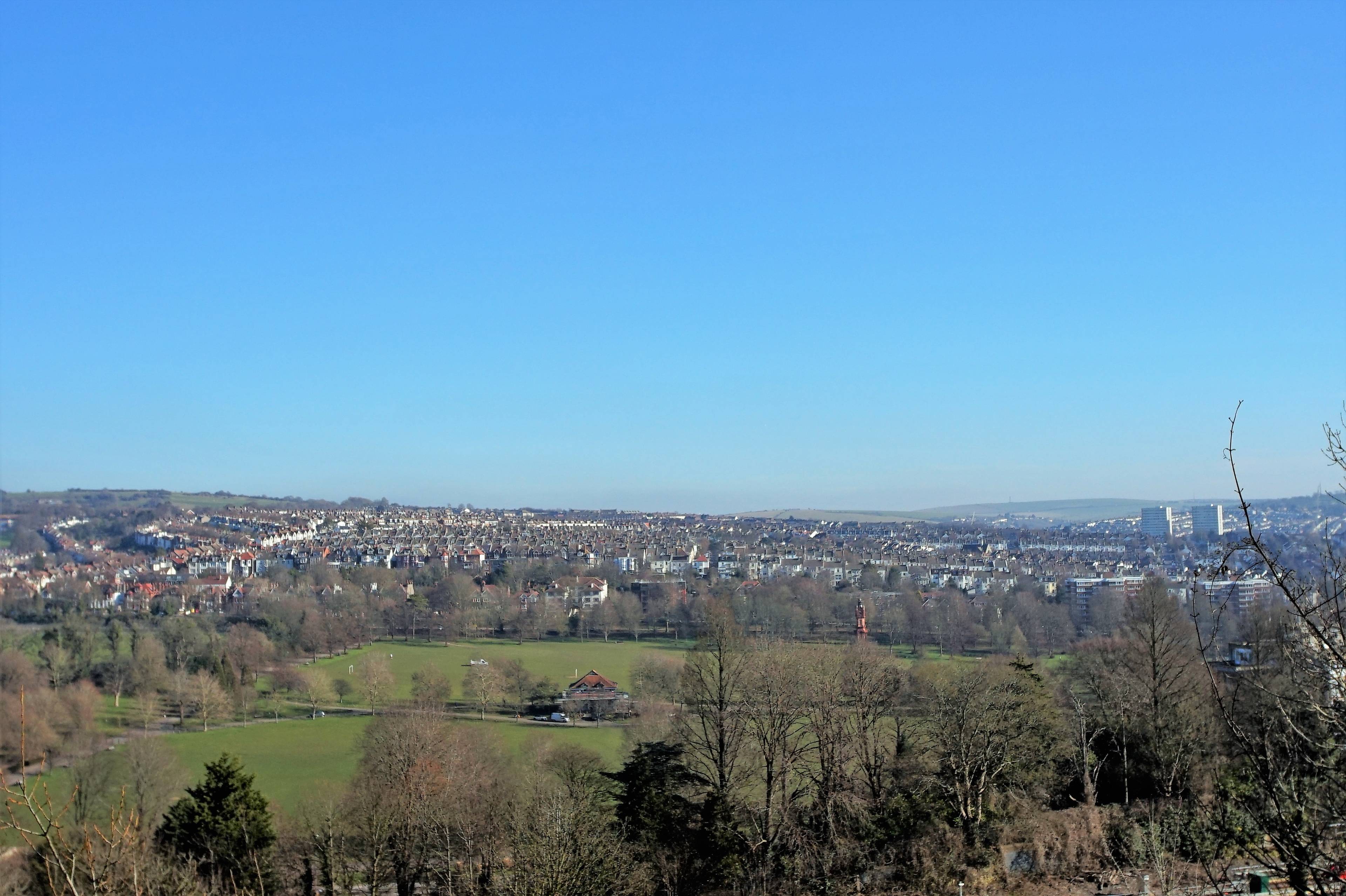view