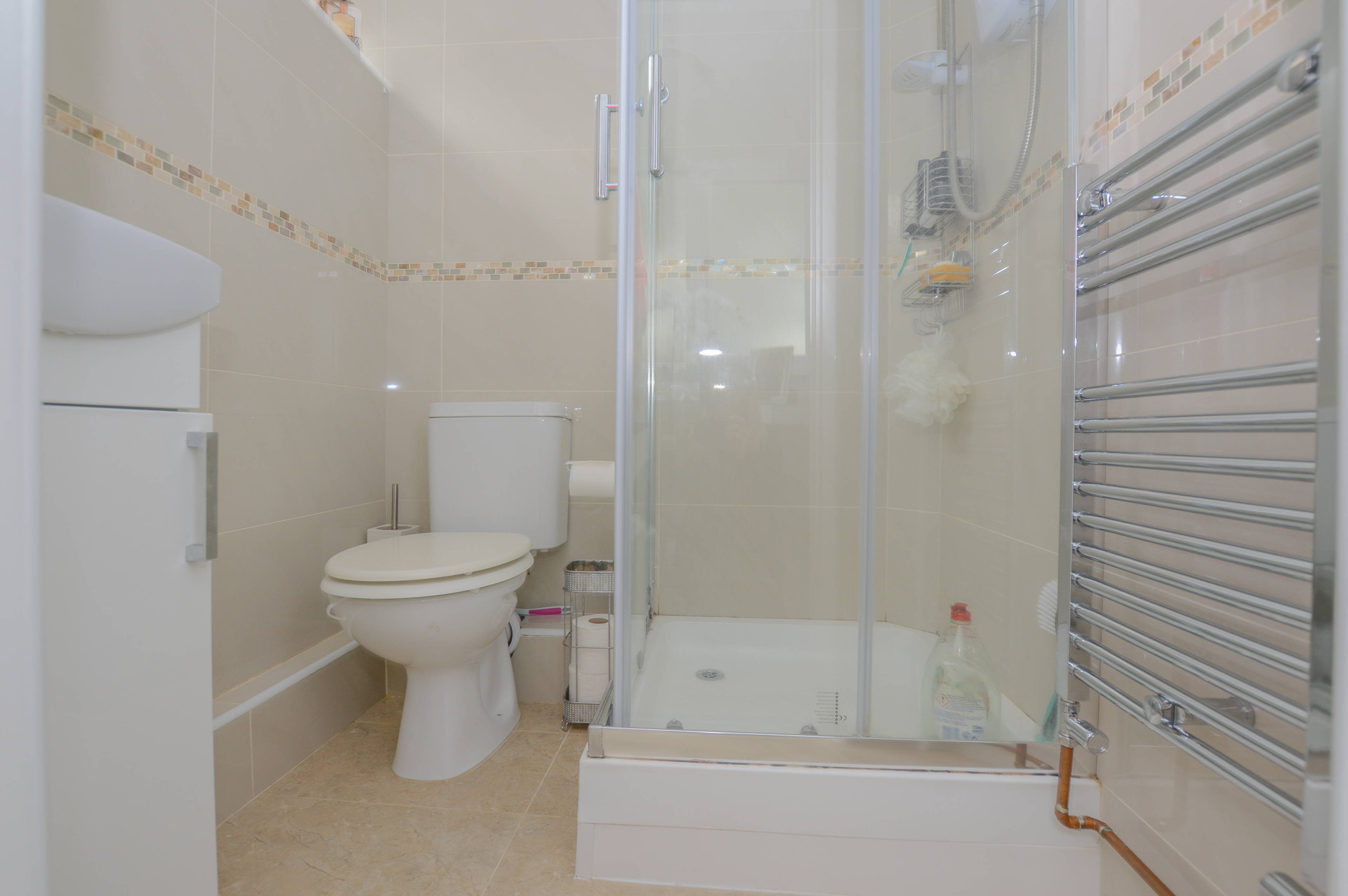Downstairs Shower