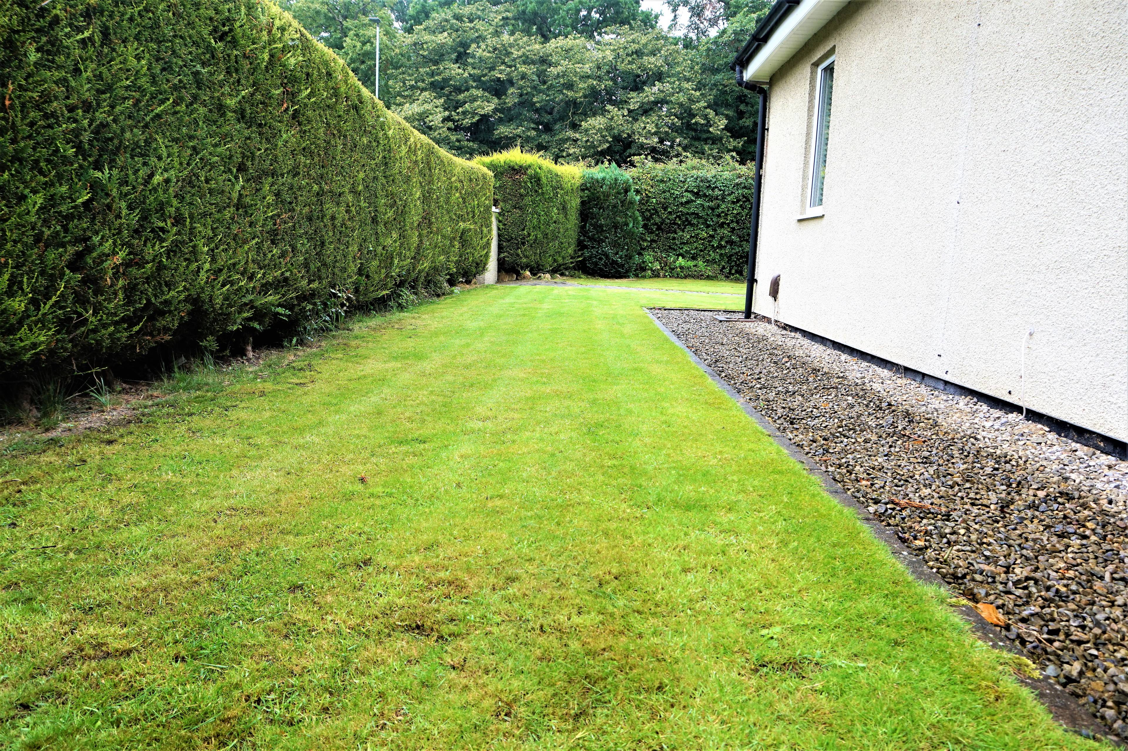 Side Garden