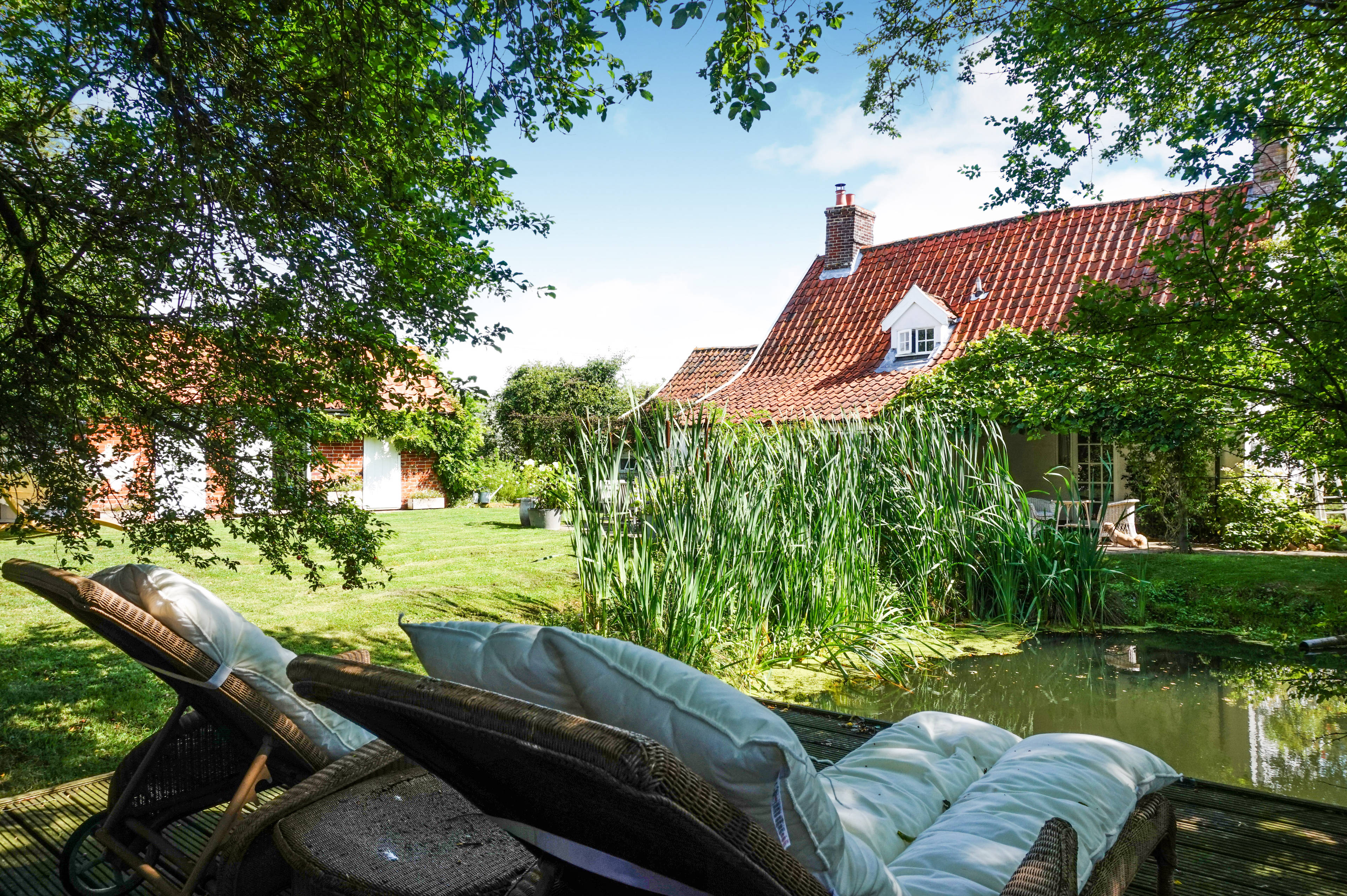 Pond