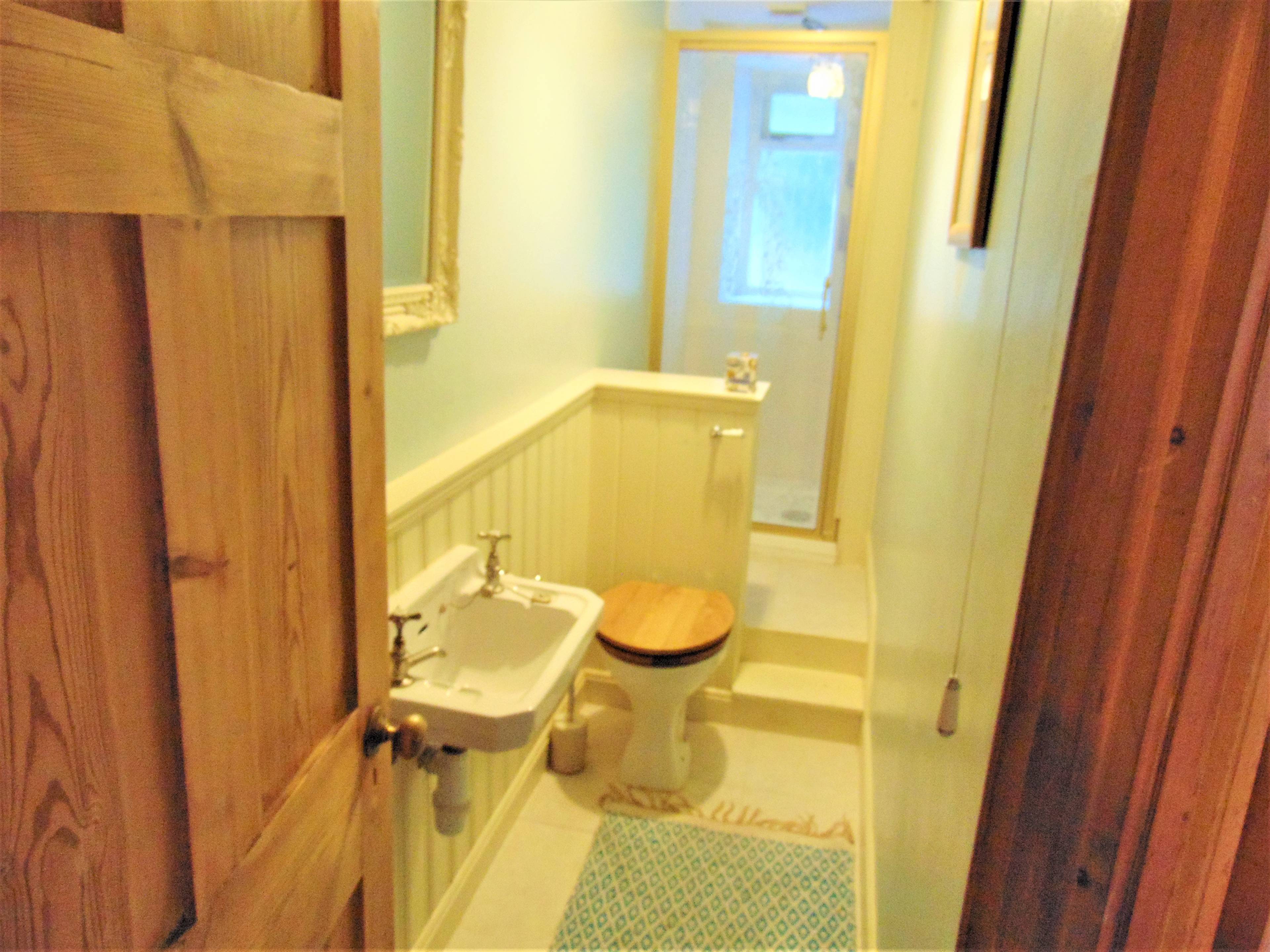 Downstairs Shower