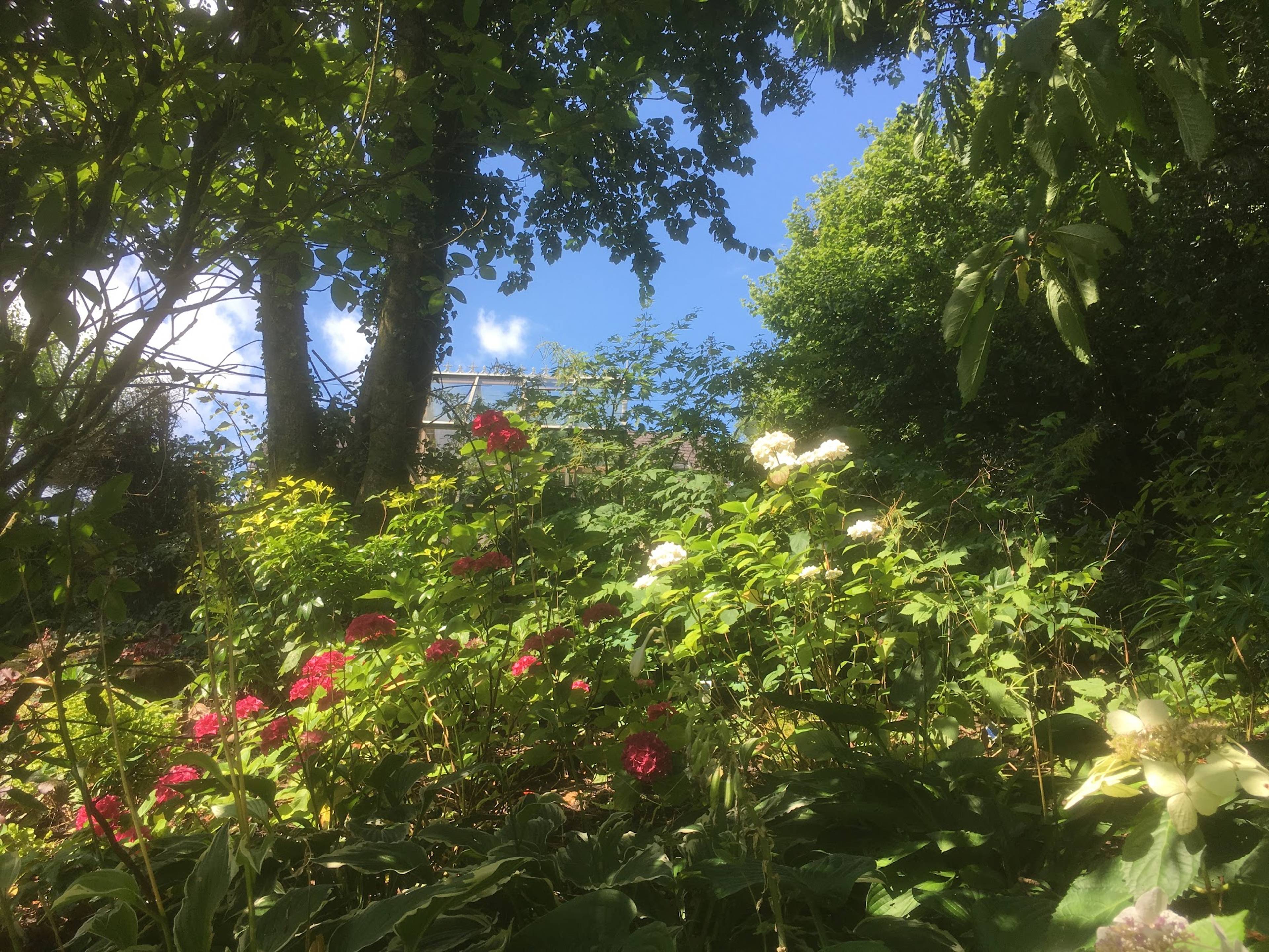 Gardens