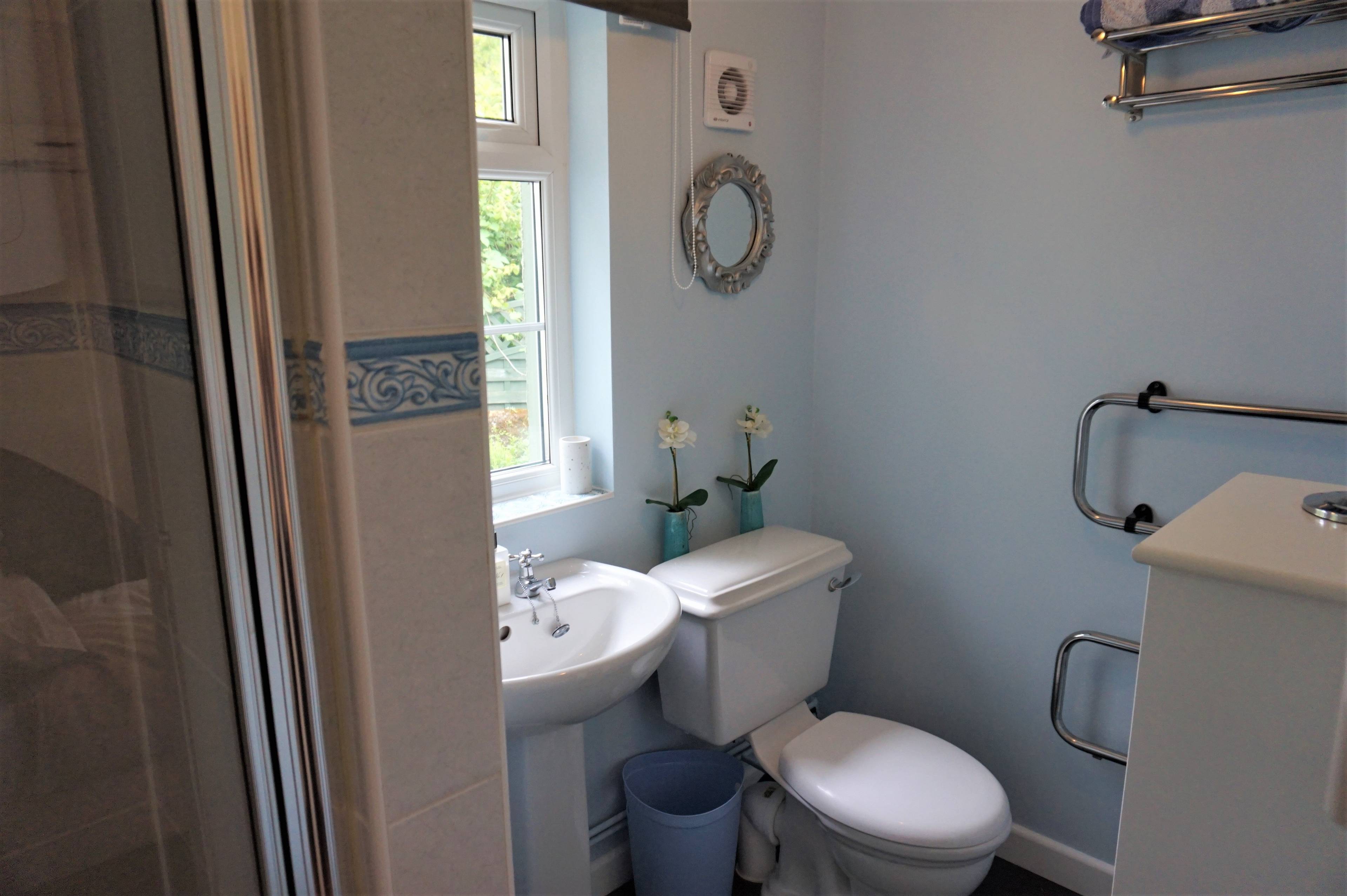 Annexe Shower Room