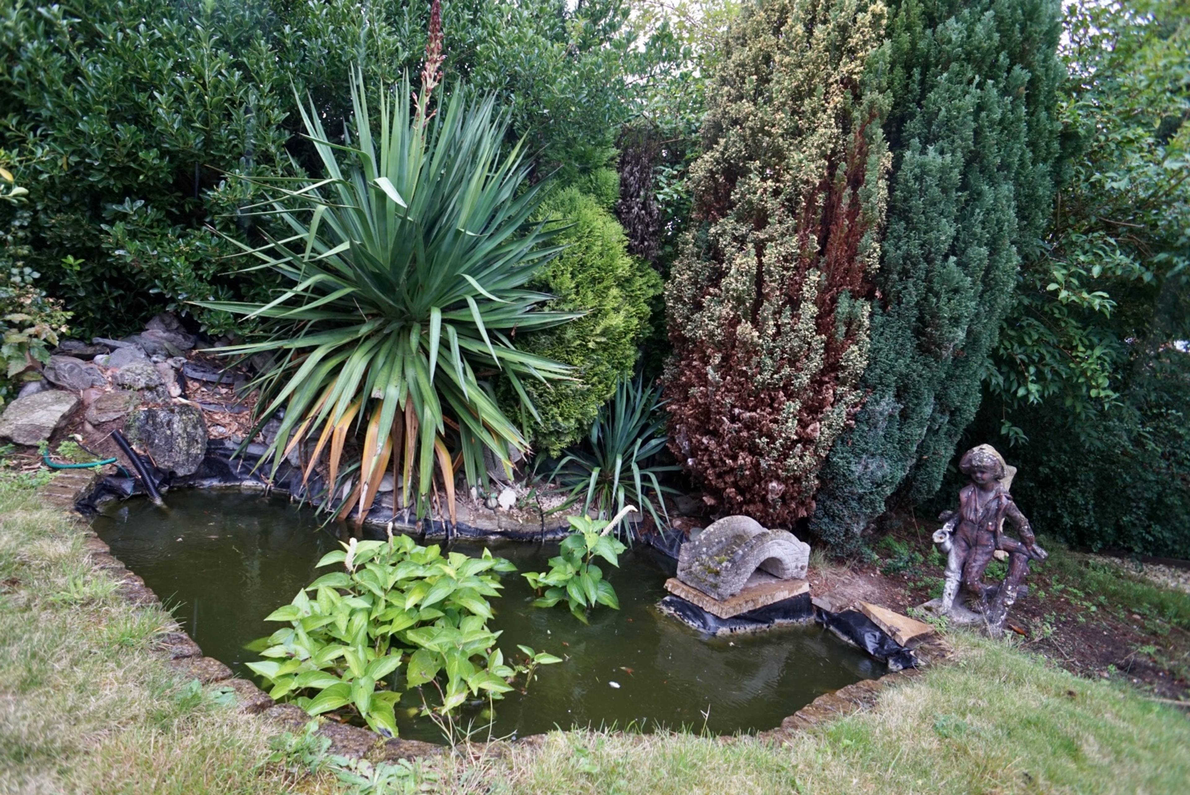 Pond