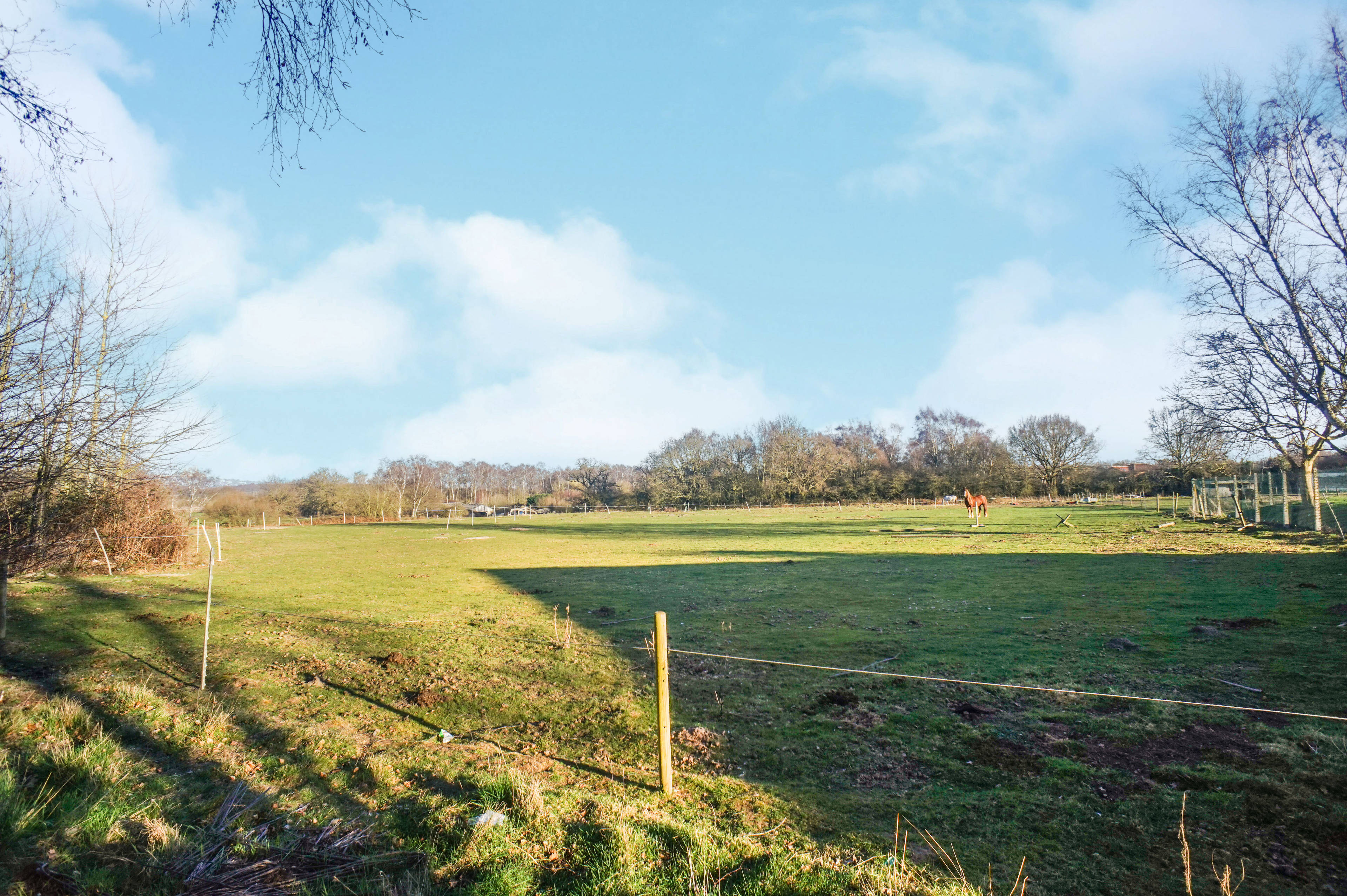 Field