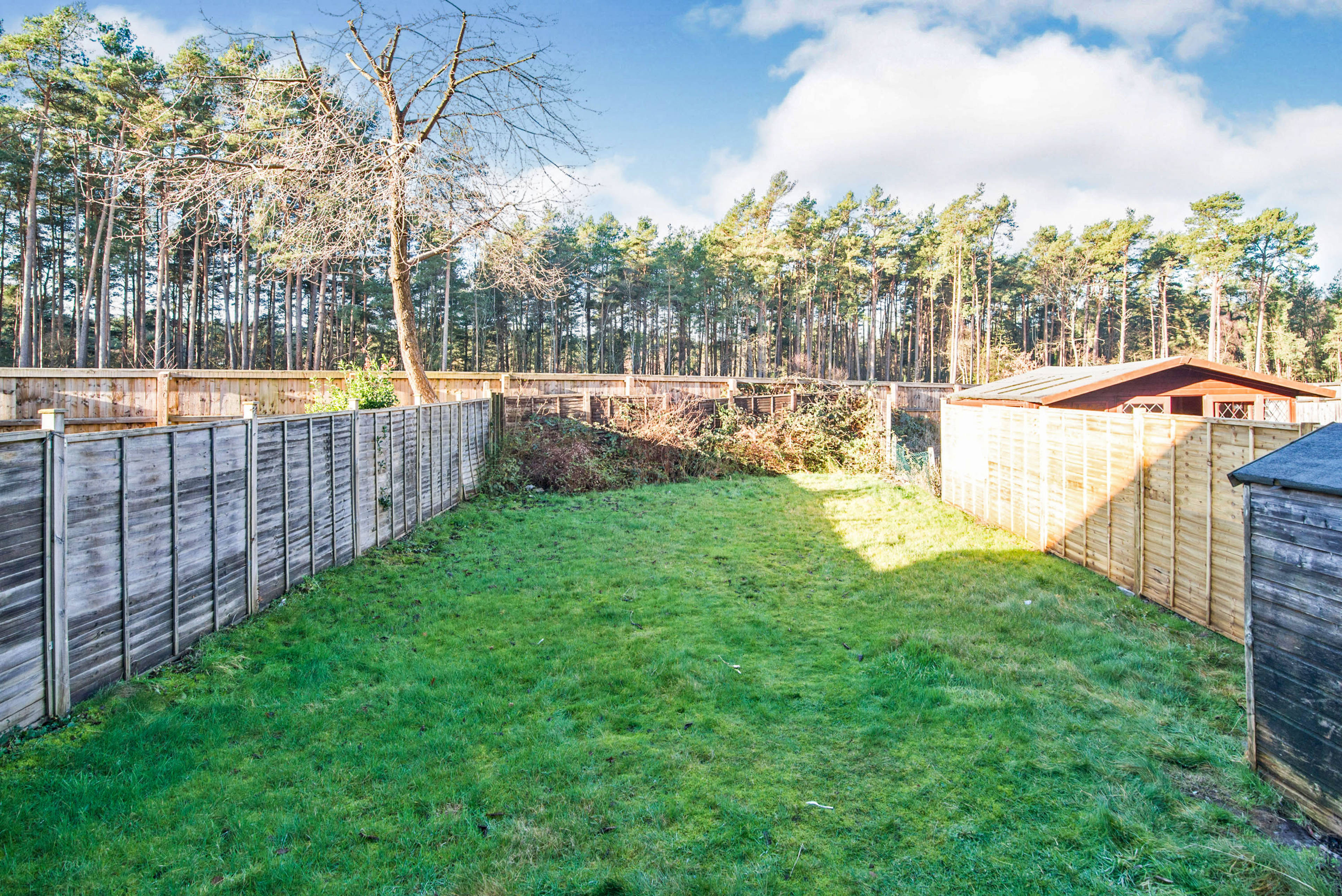 Large Garden