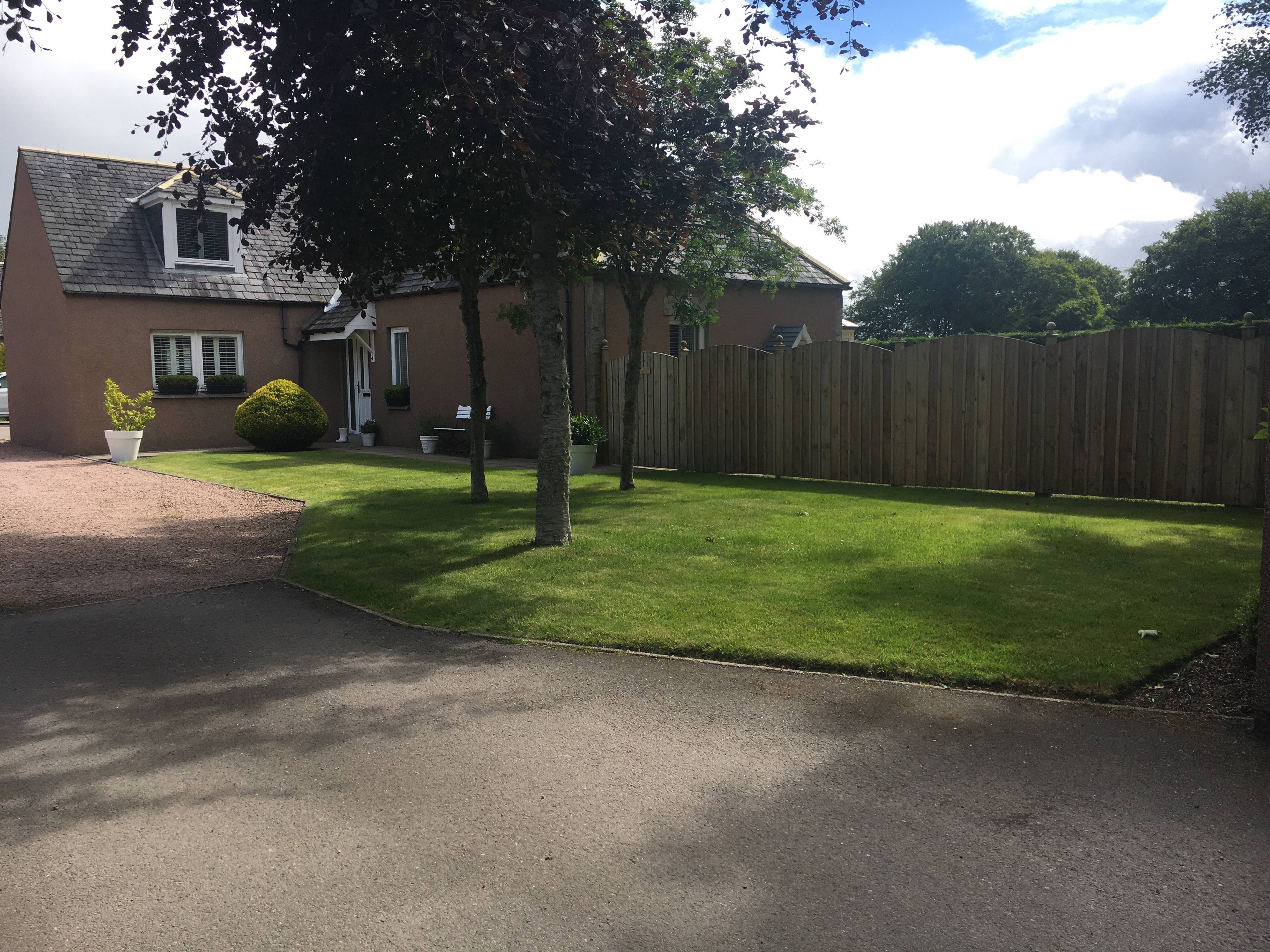 Side Garden