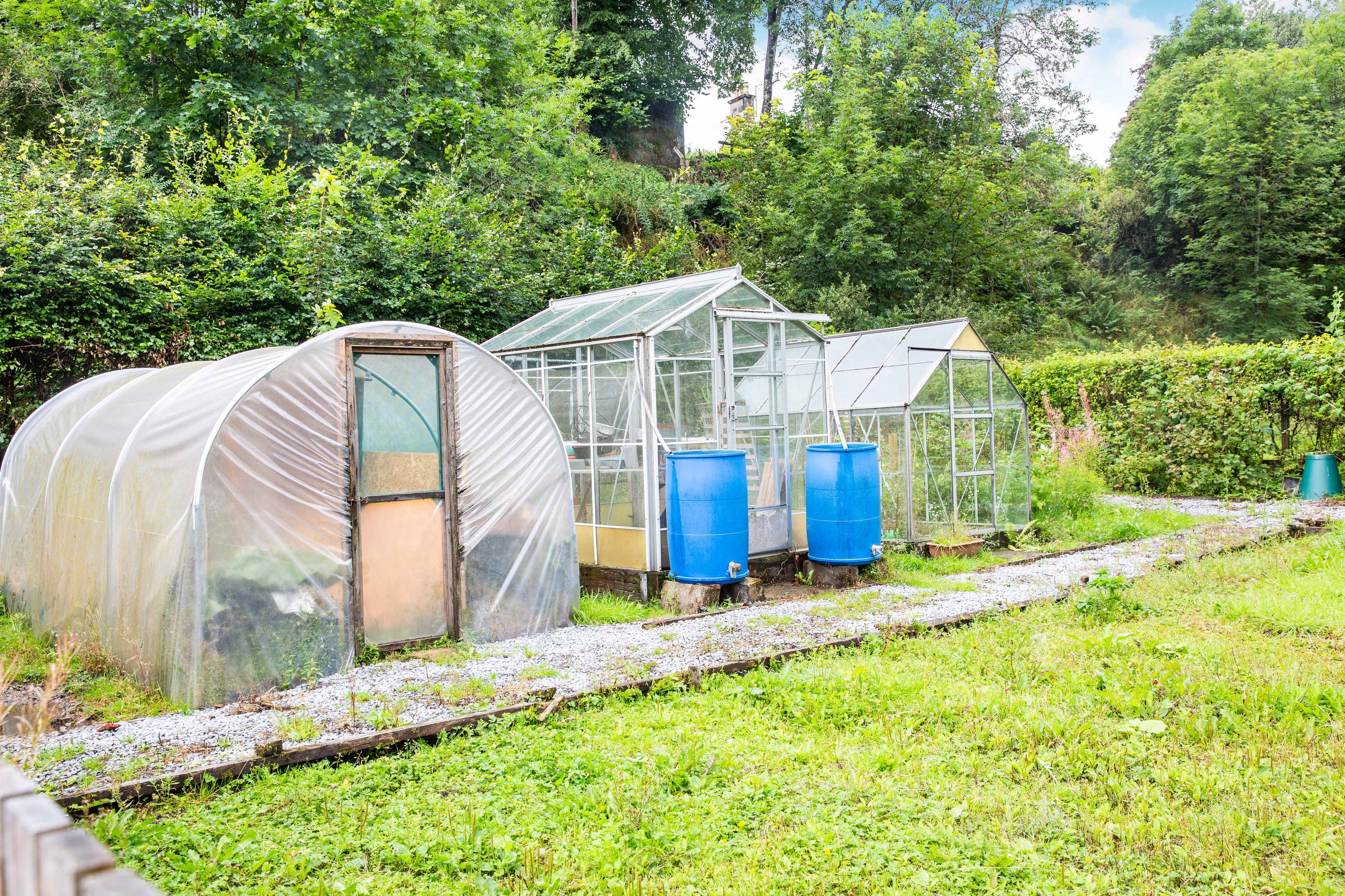 Side Garden