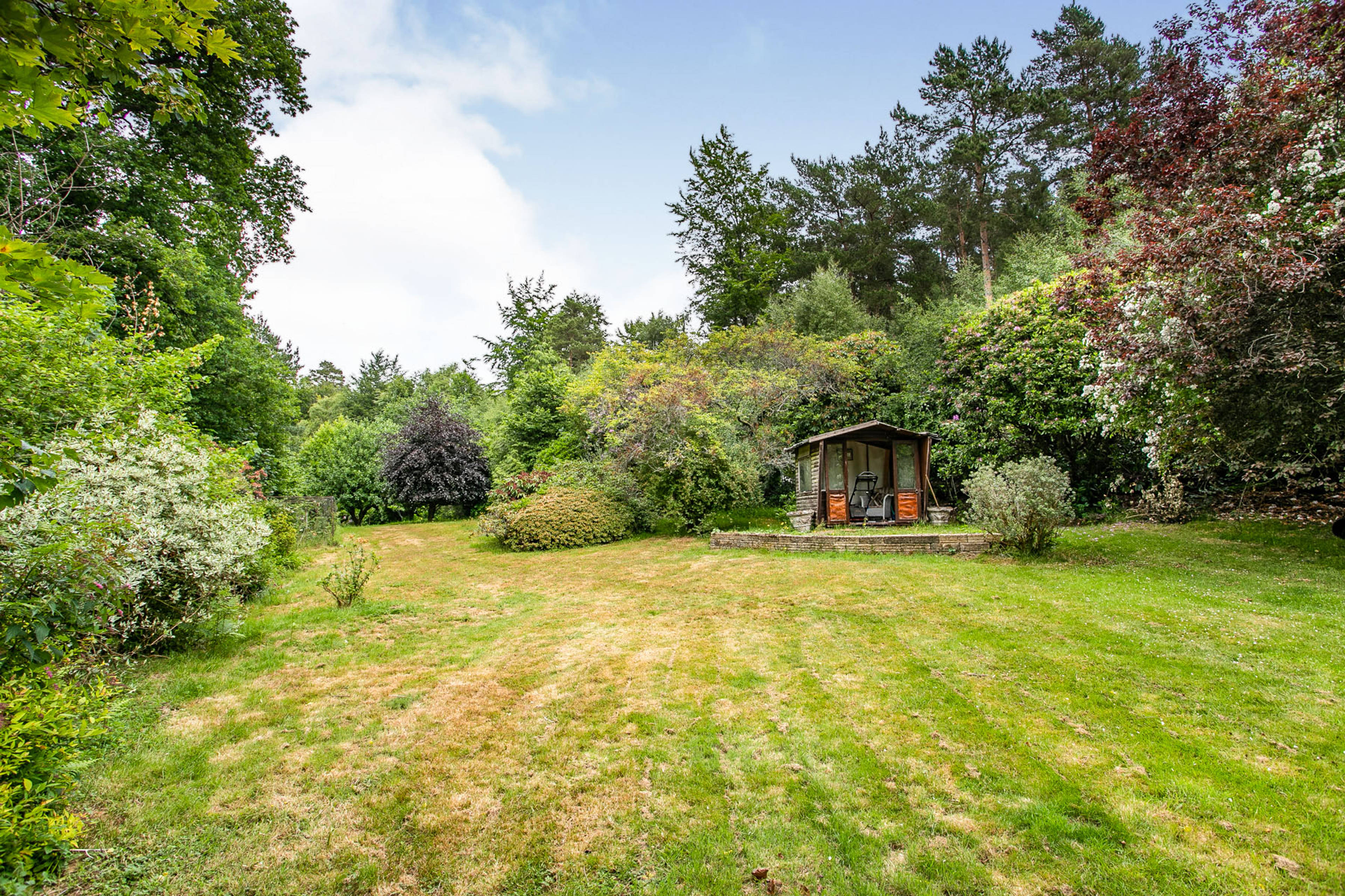Mature Garden
