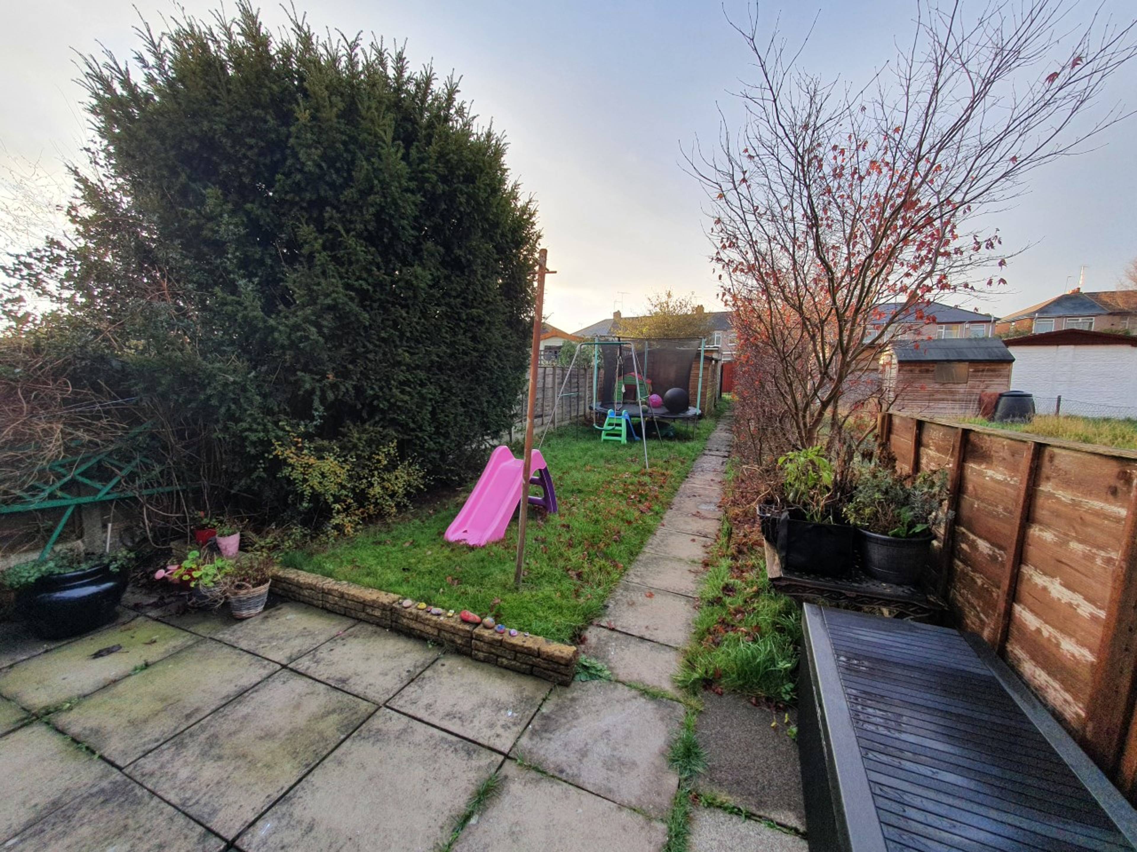 Garden