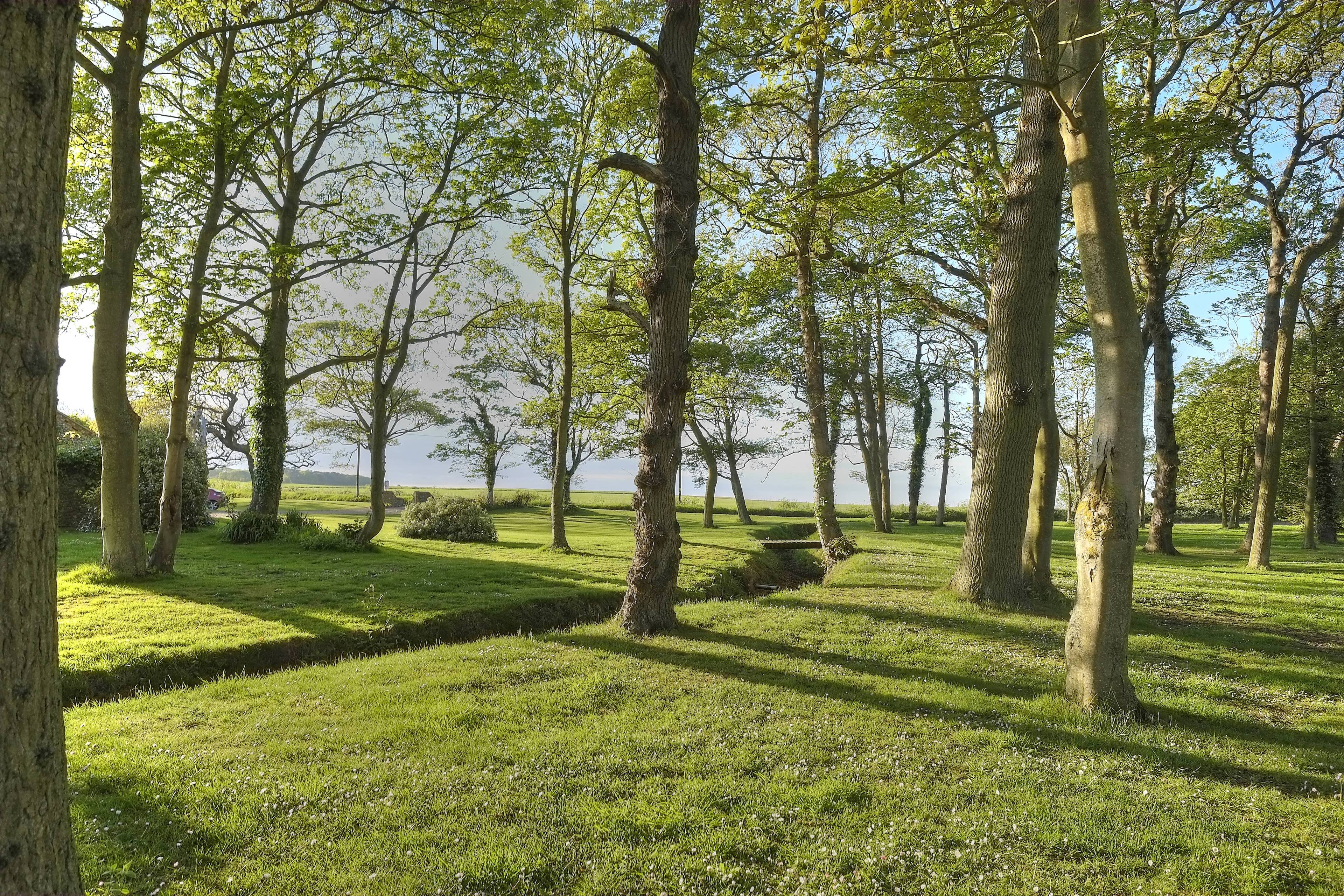 Grounds