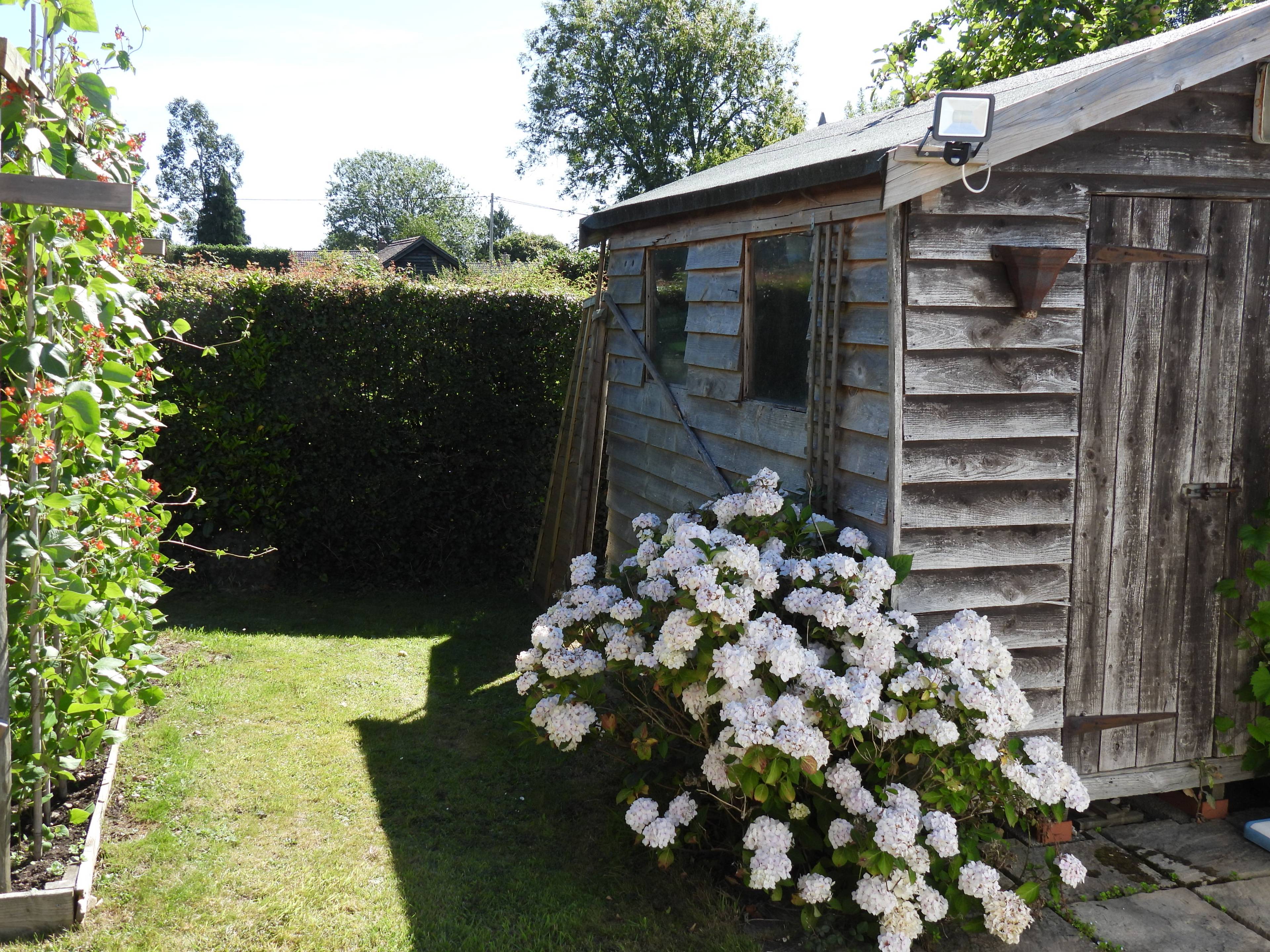 Shed