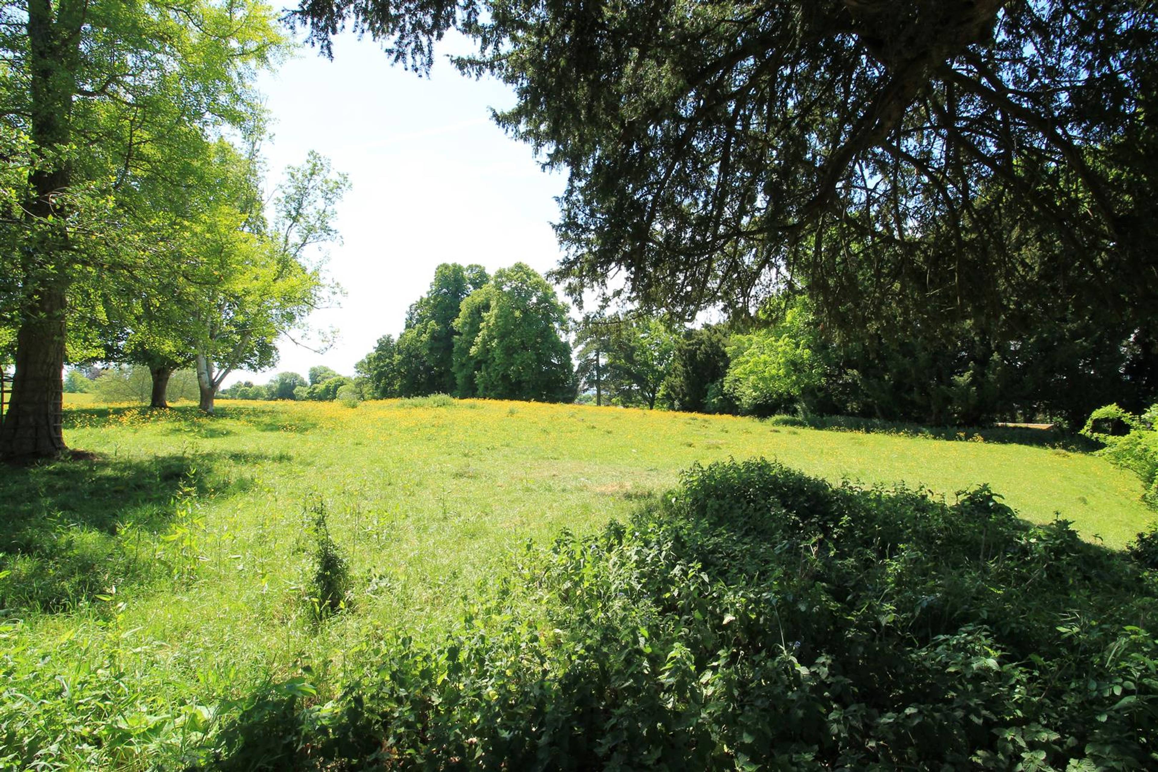 Communal Gardens