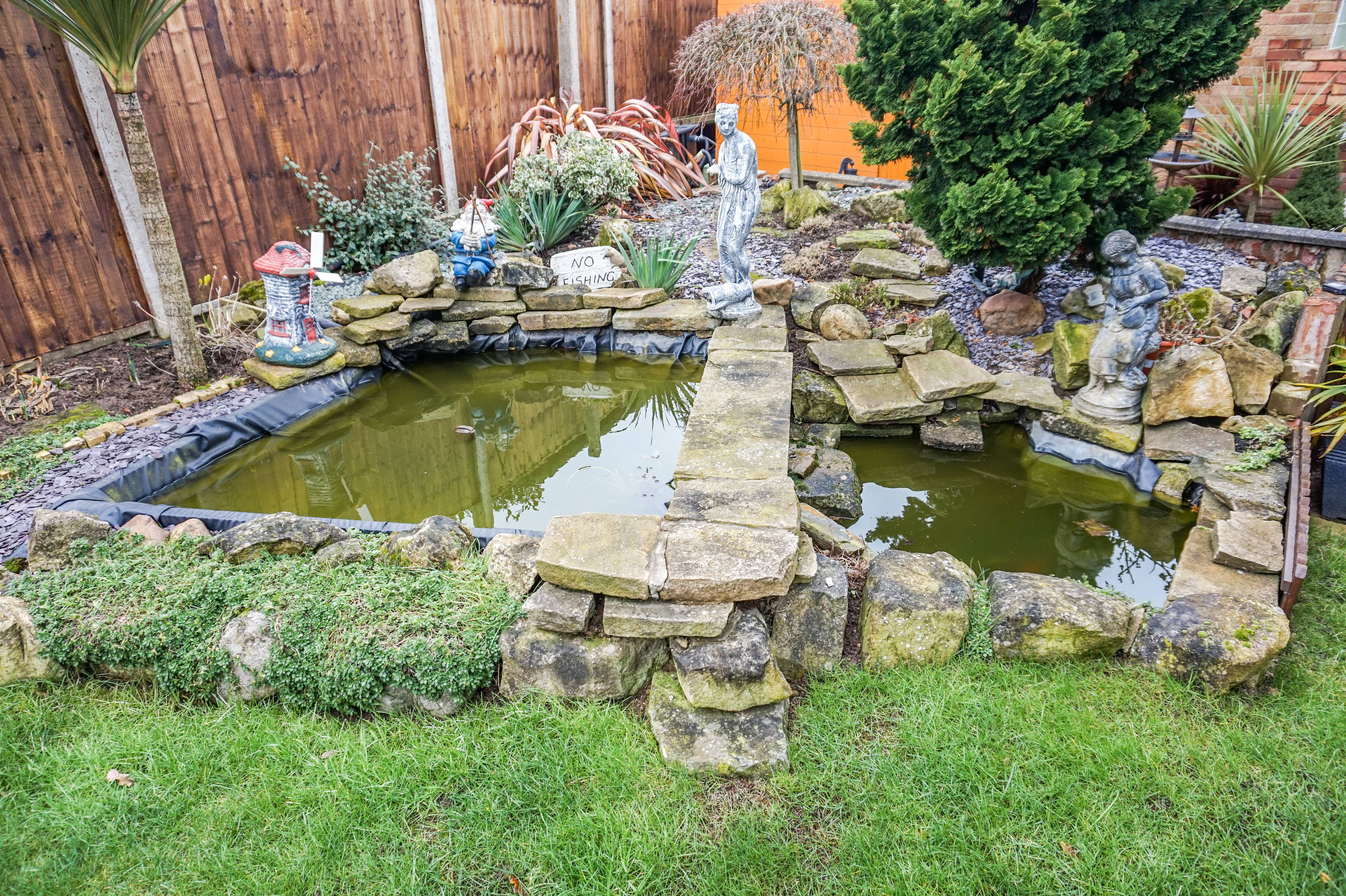 Pond