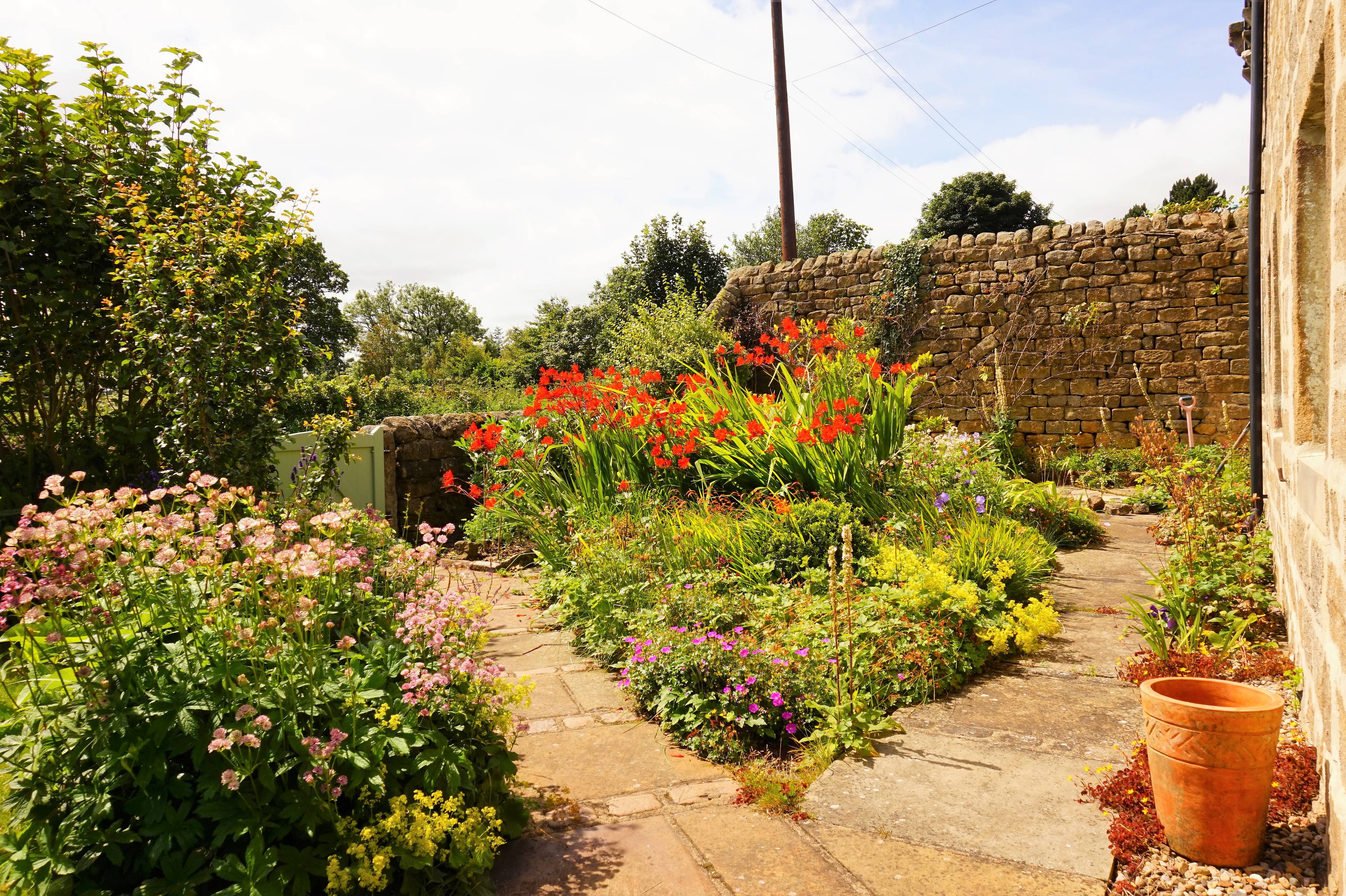 Front Garden