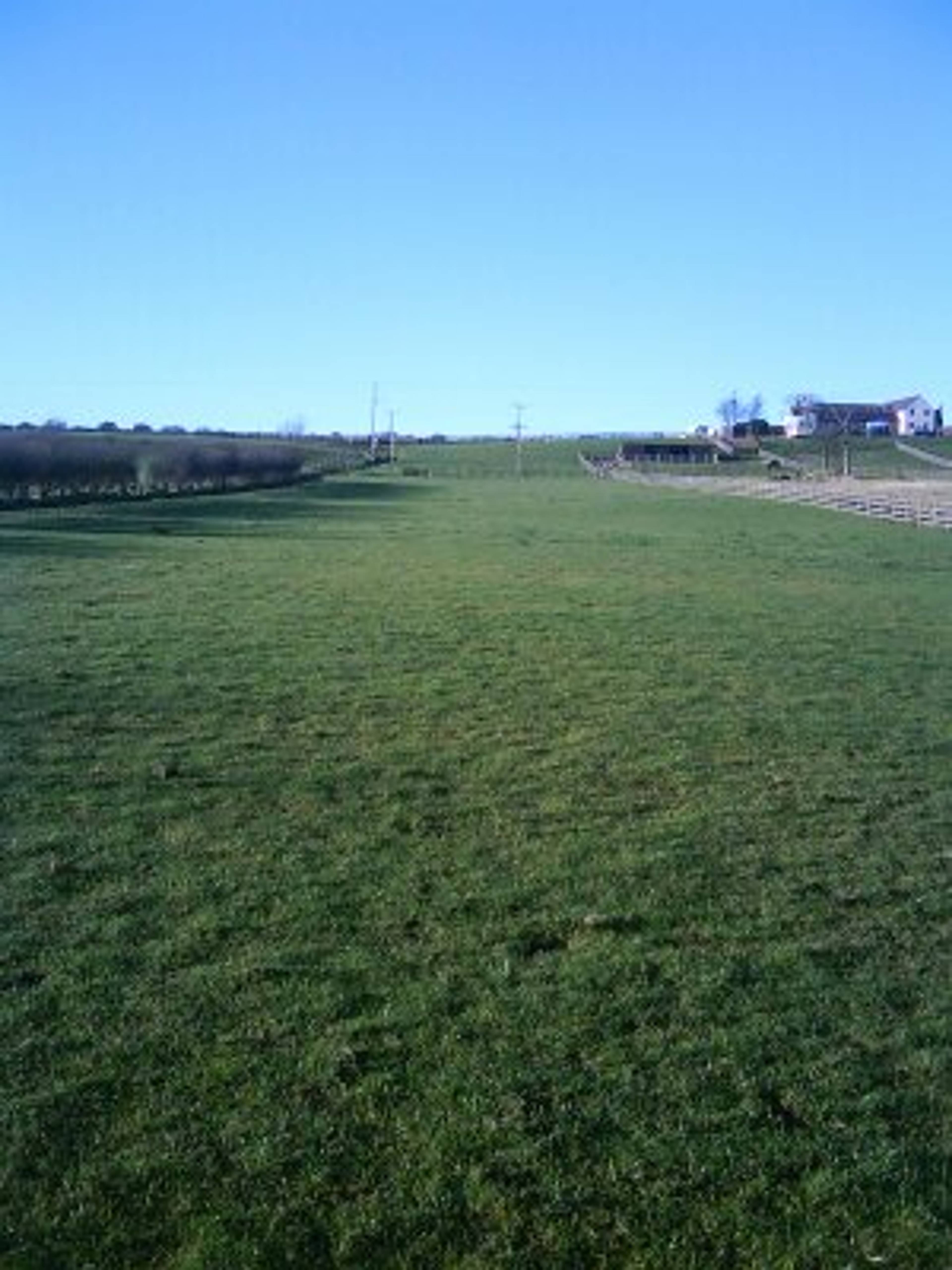 Land
