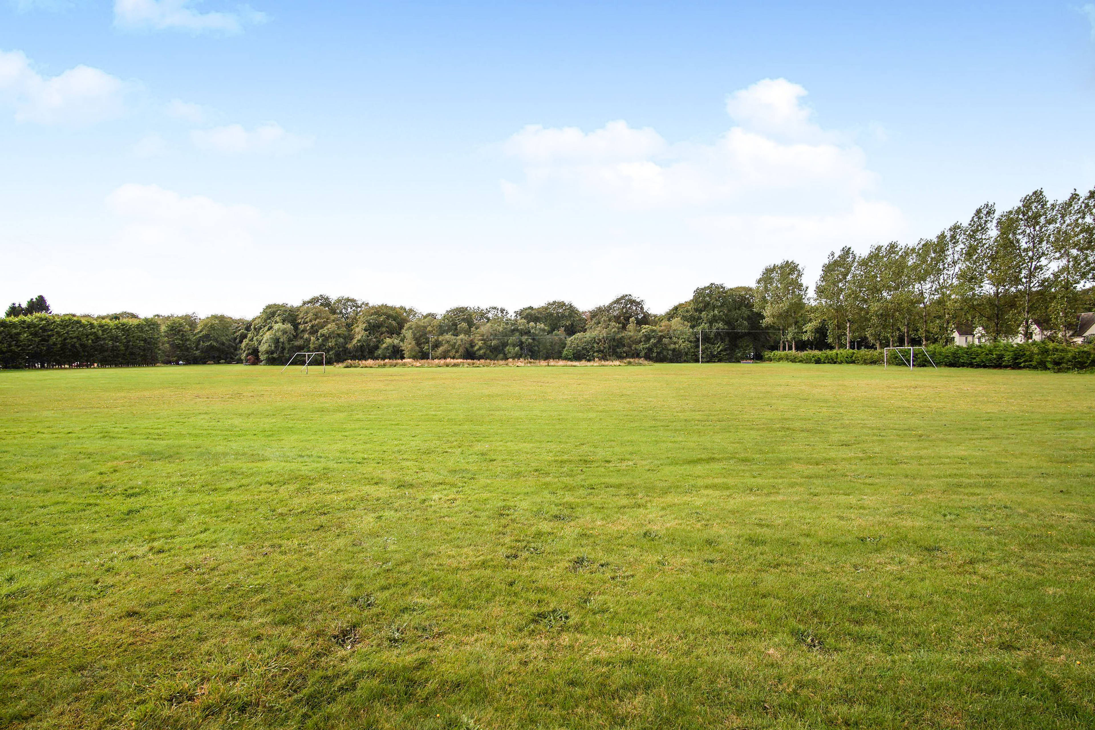 Nearby Park