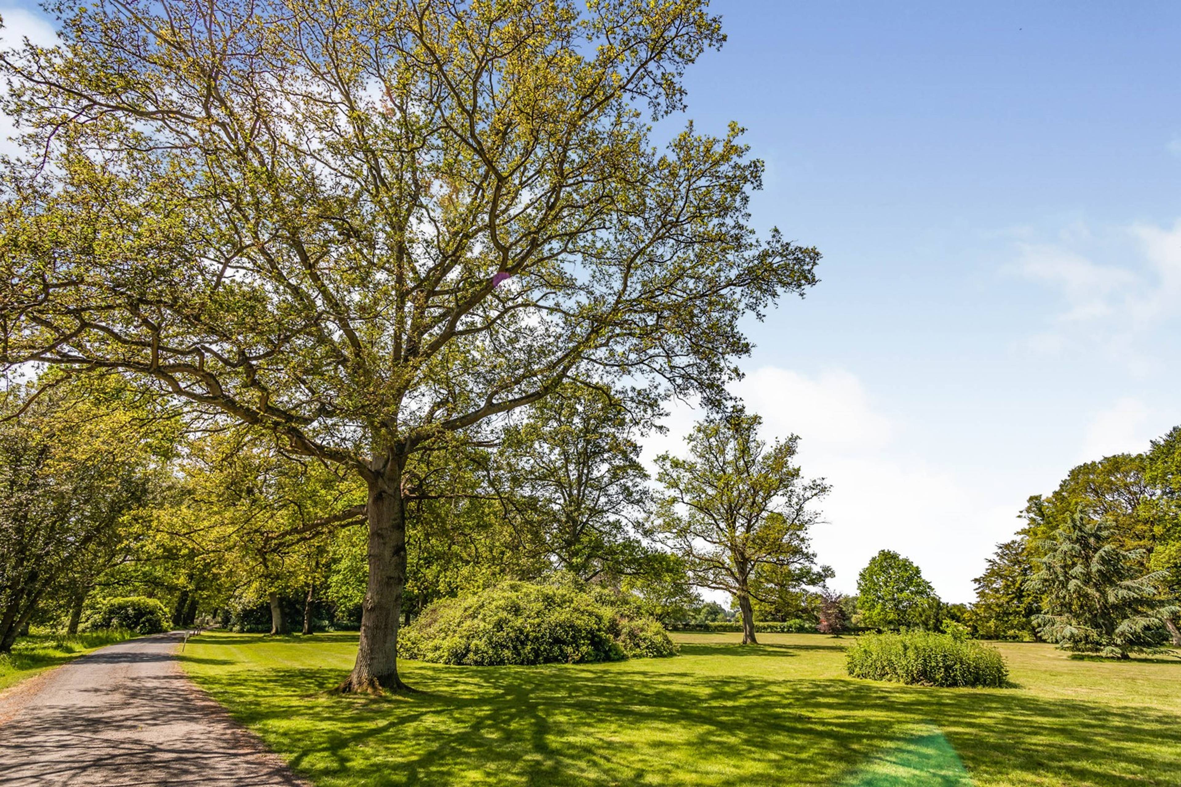 Grounds