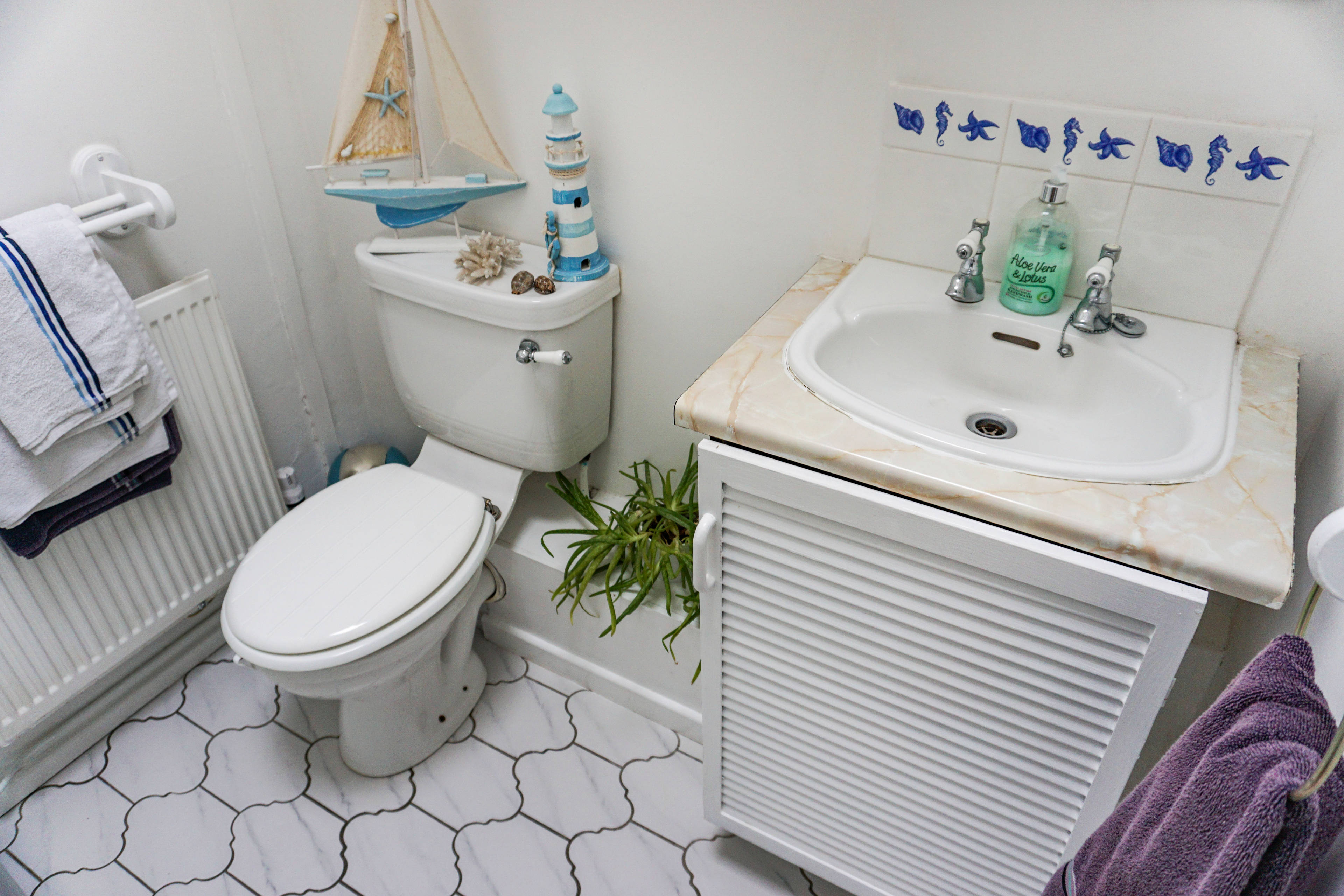 Downstairs Shower