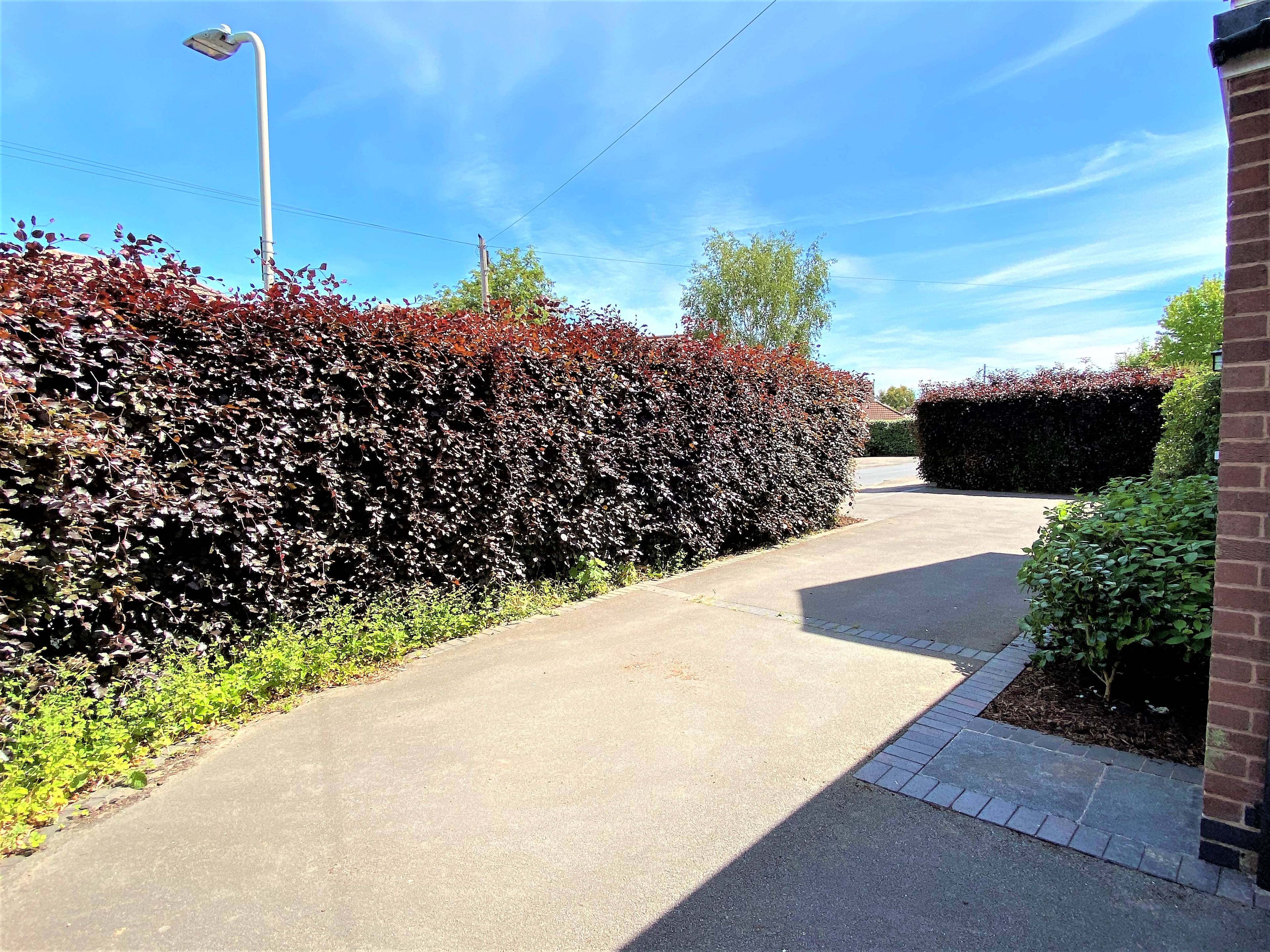 Driveway