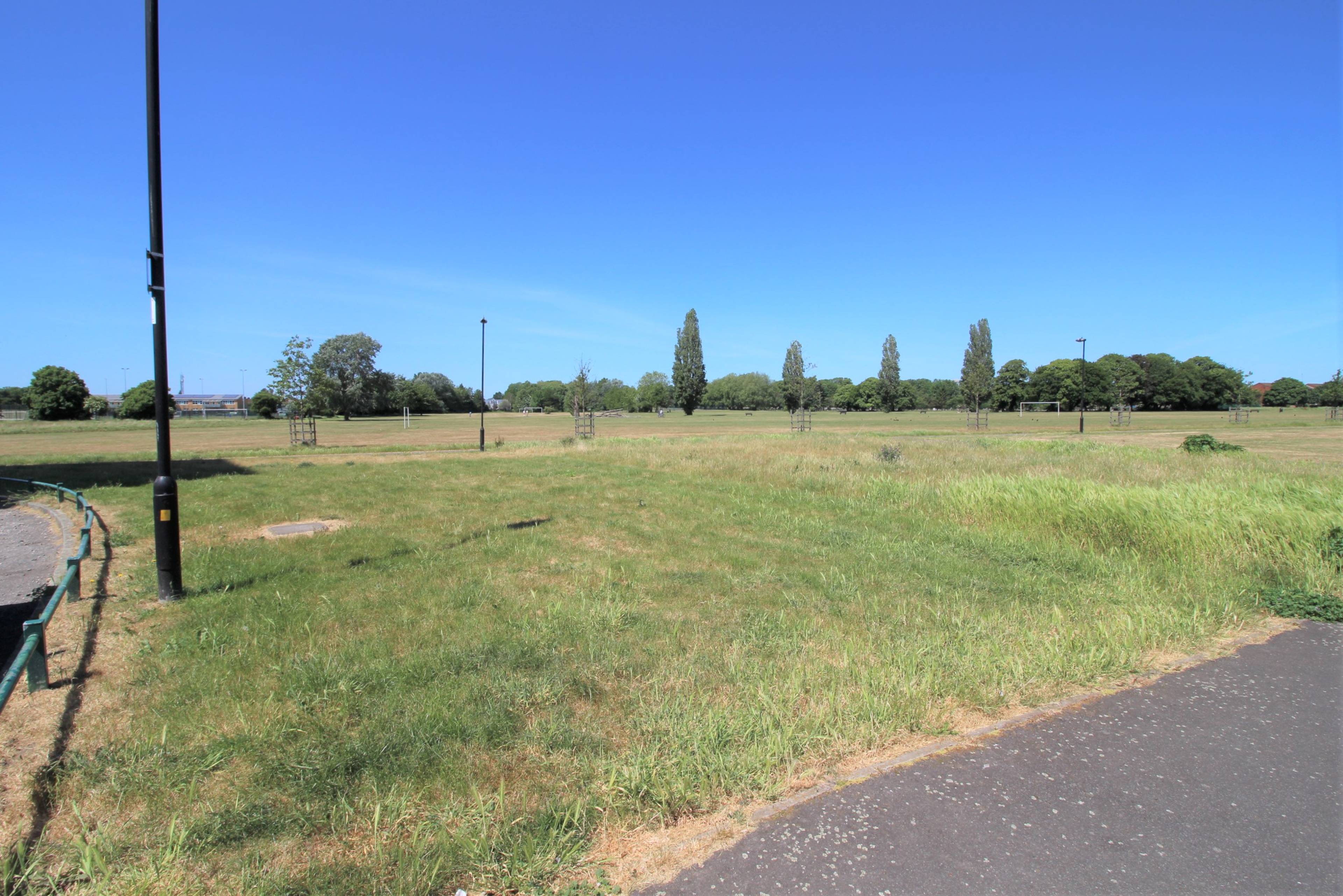 Surrounding Area