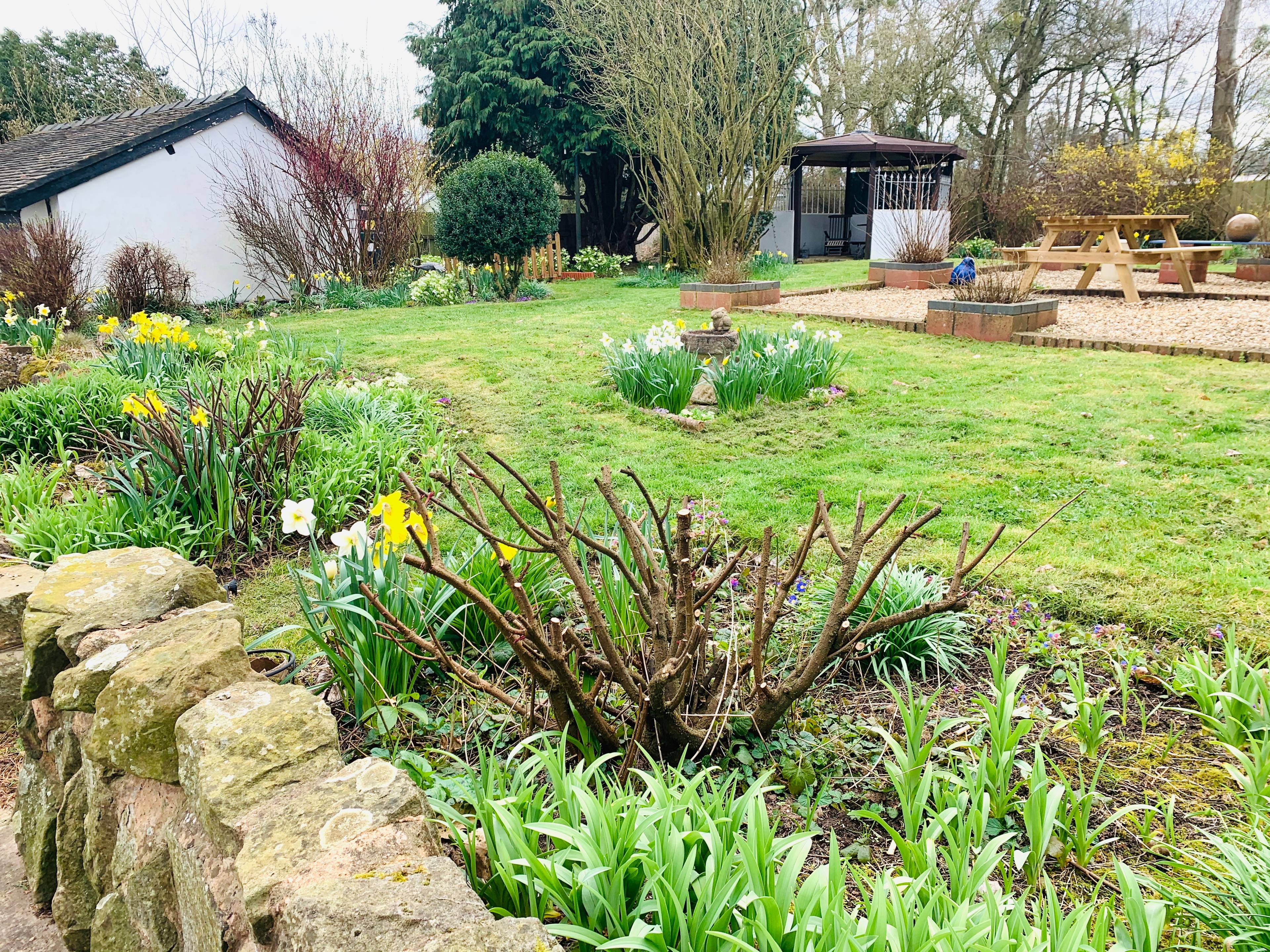 Rear garden