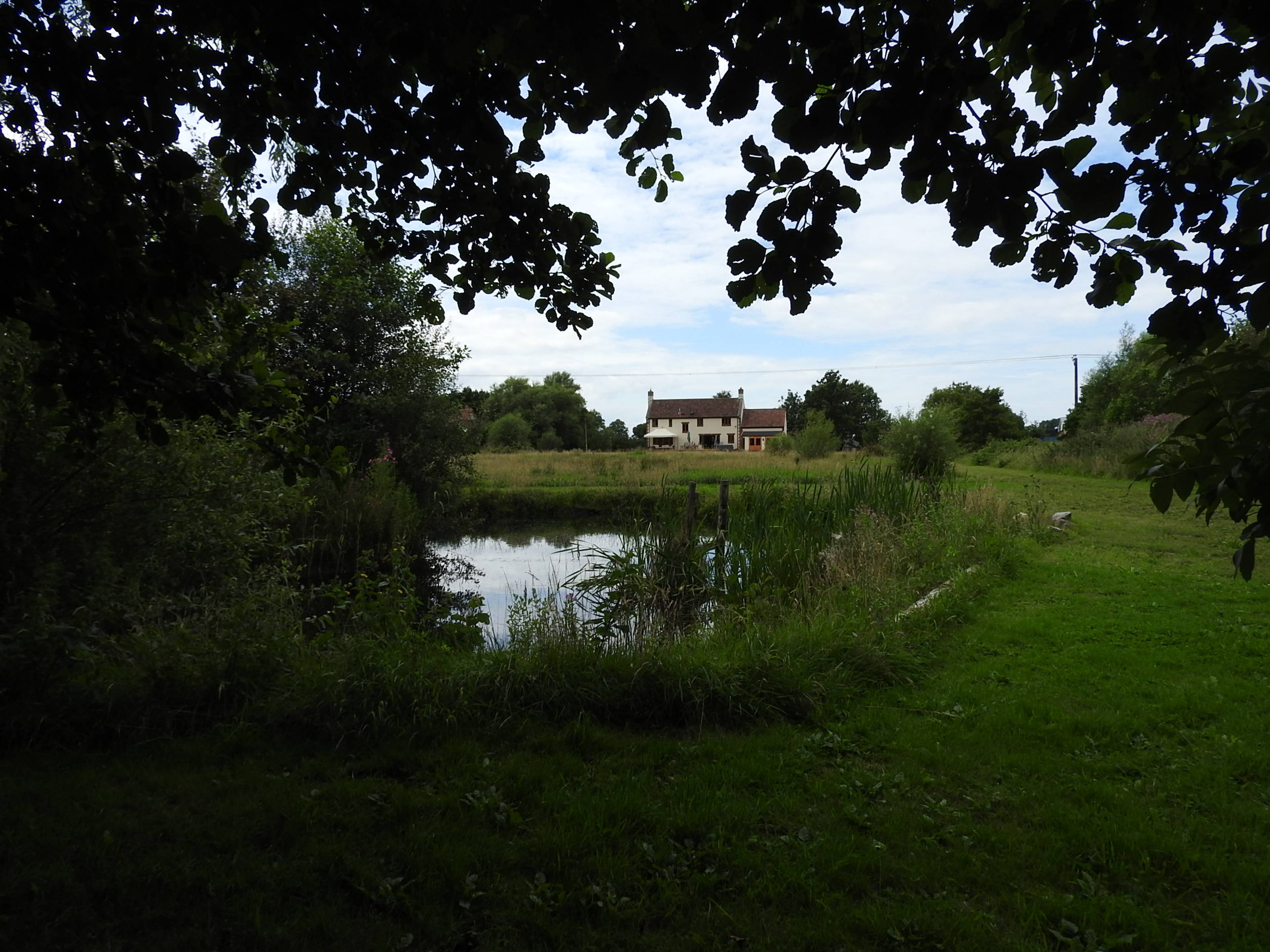 Pond