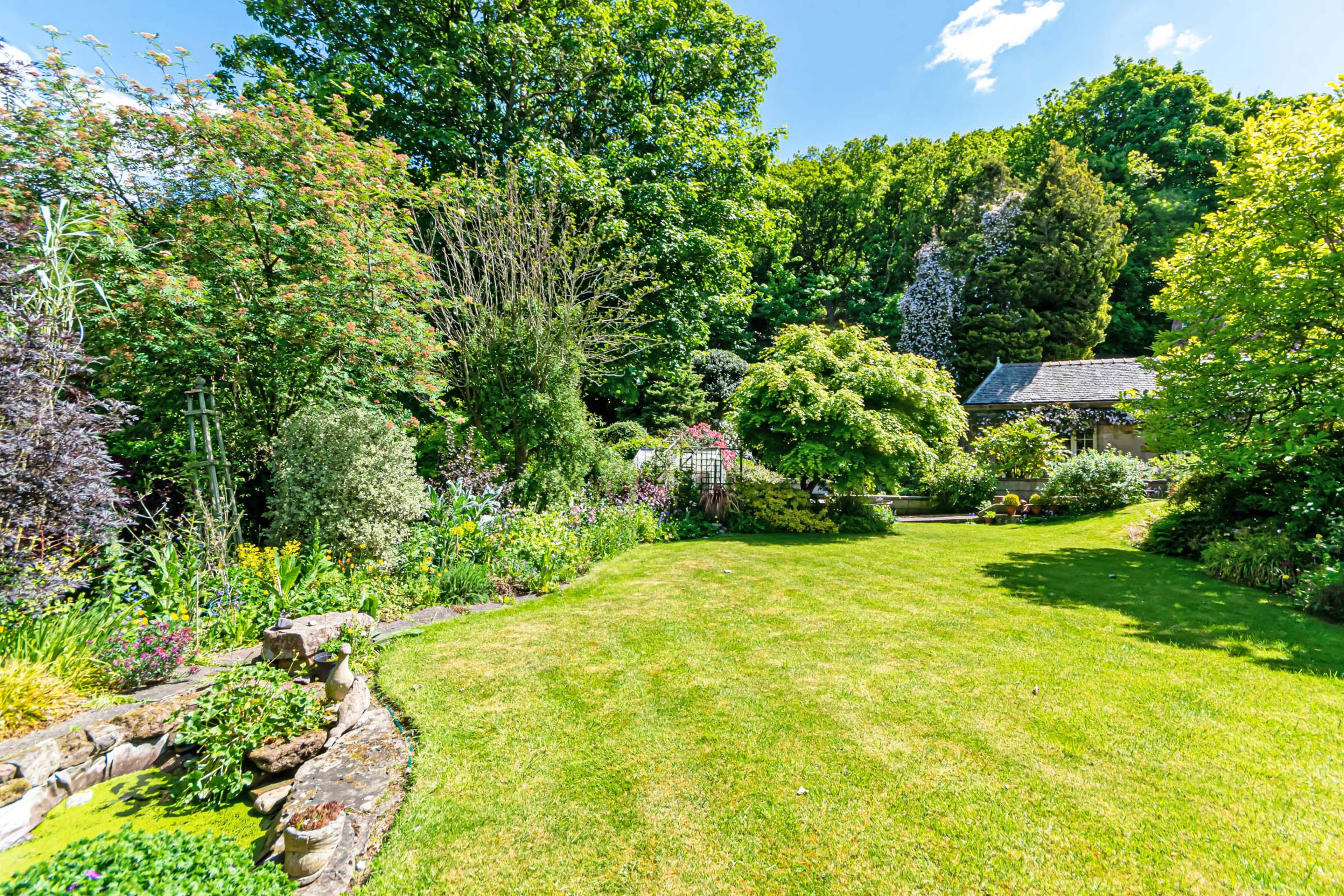 Mature Garden