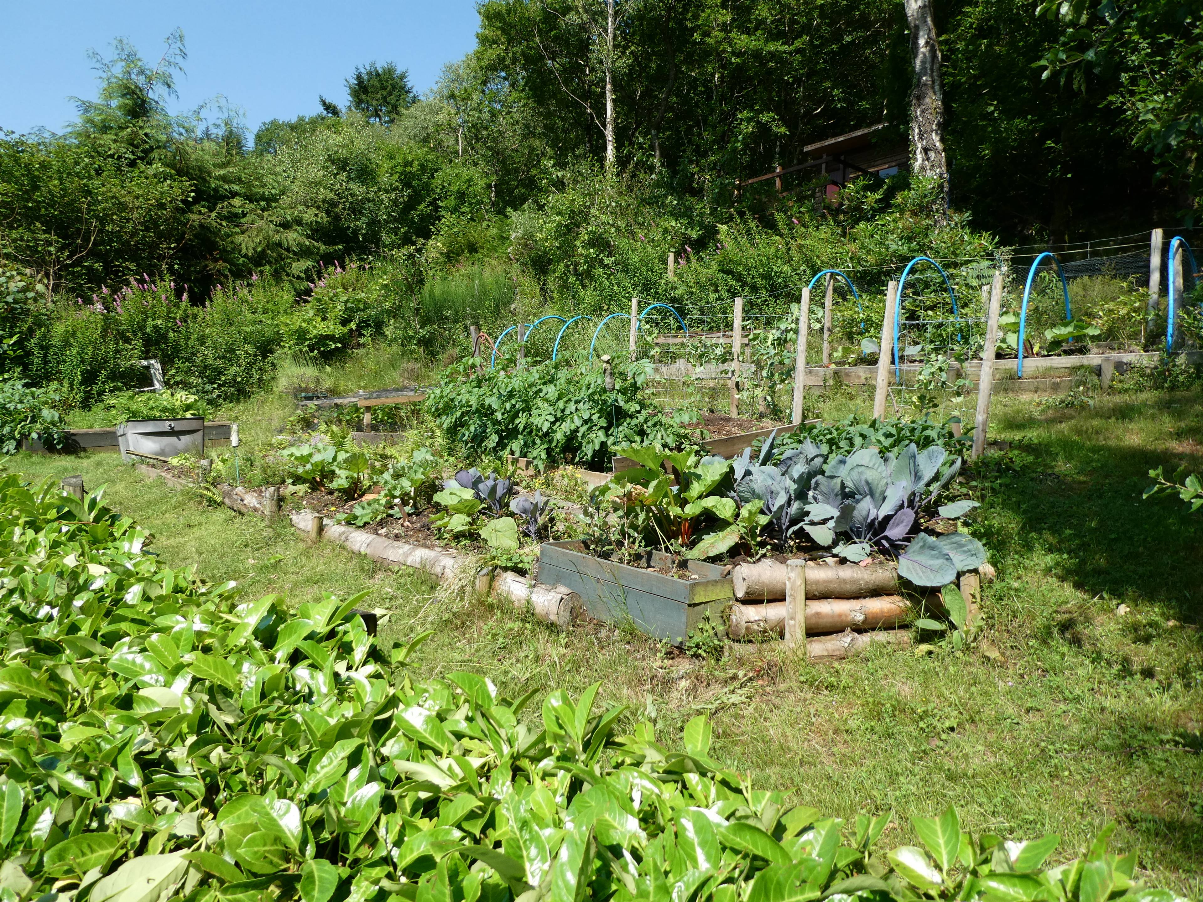 garden