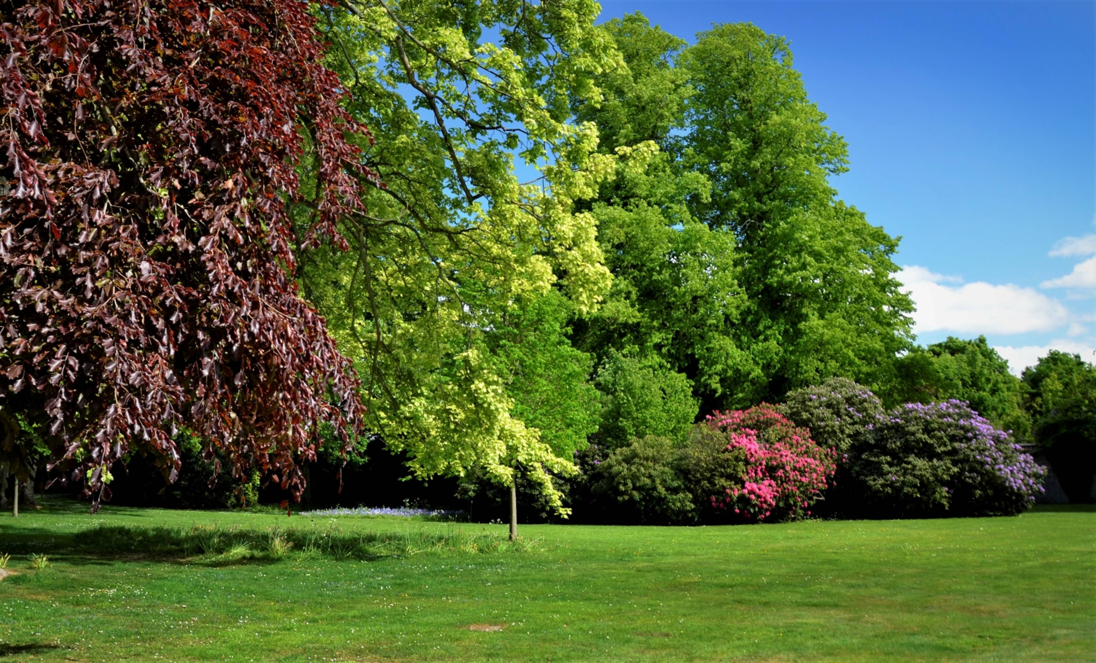 Grounds