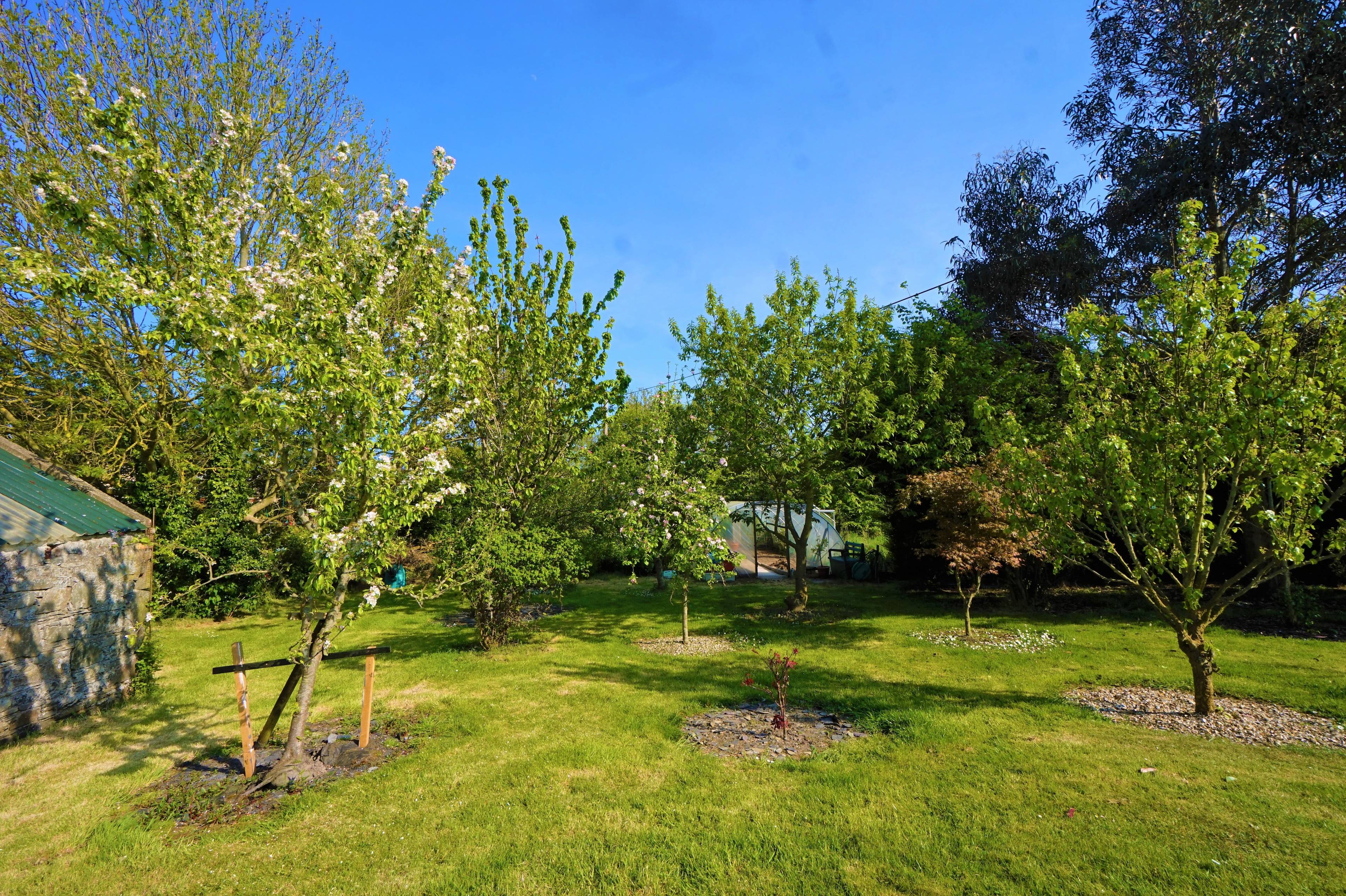 Orchard