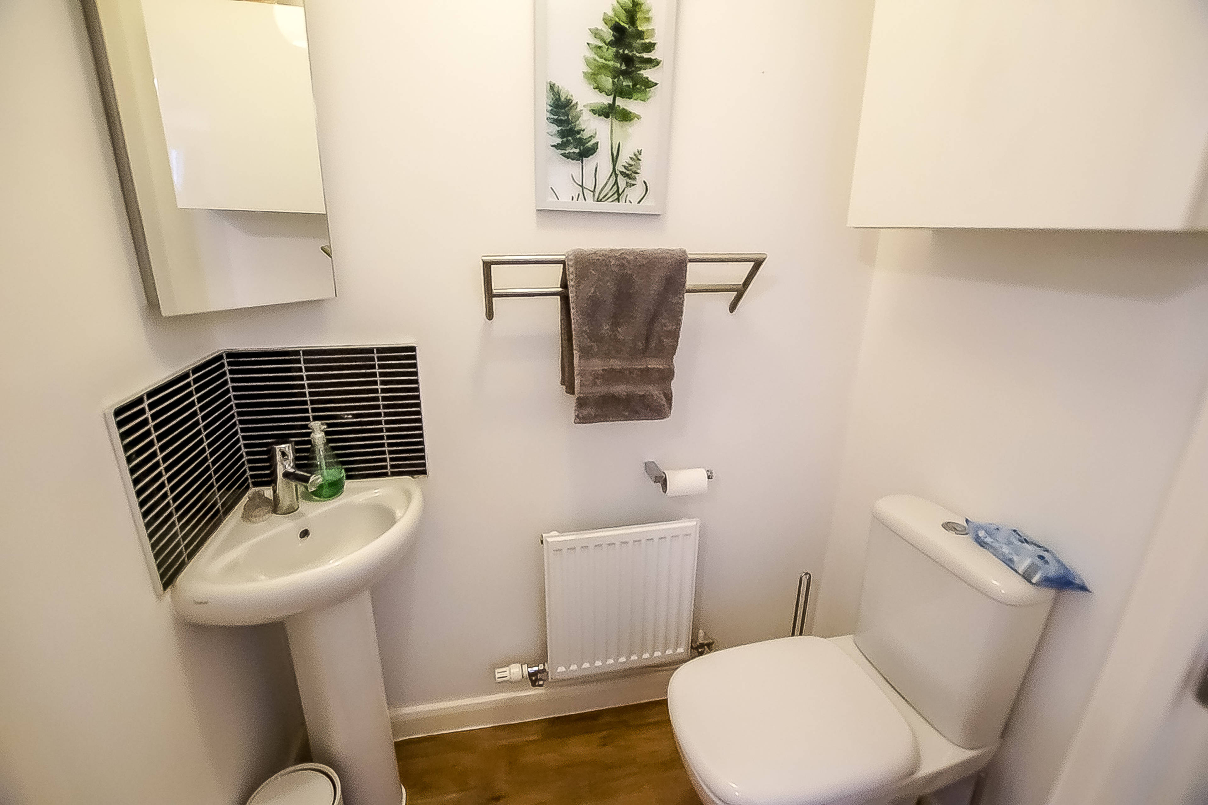 Downstairs Cloakroom
