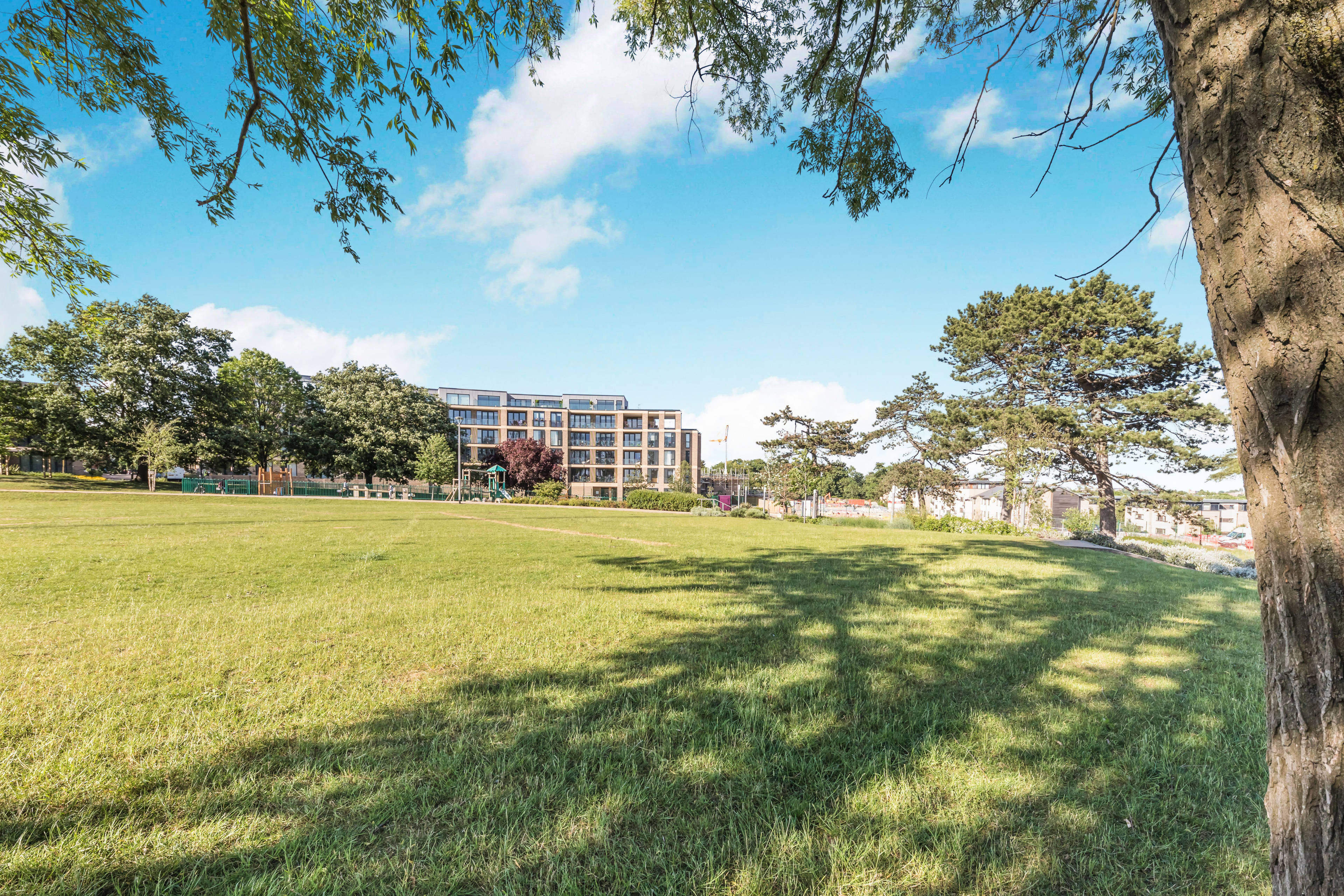 Grounds