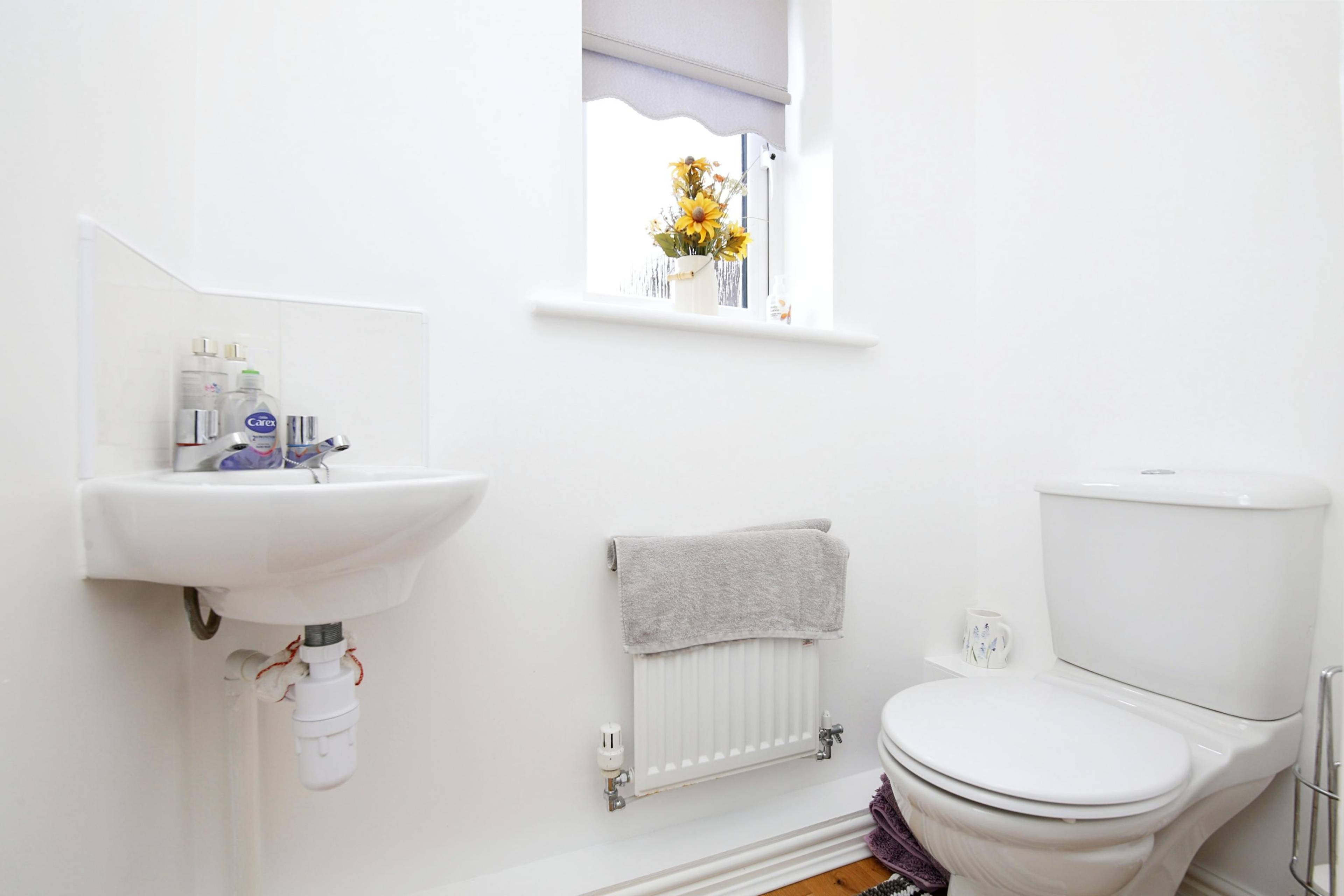 Downstairs Cloakroom