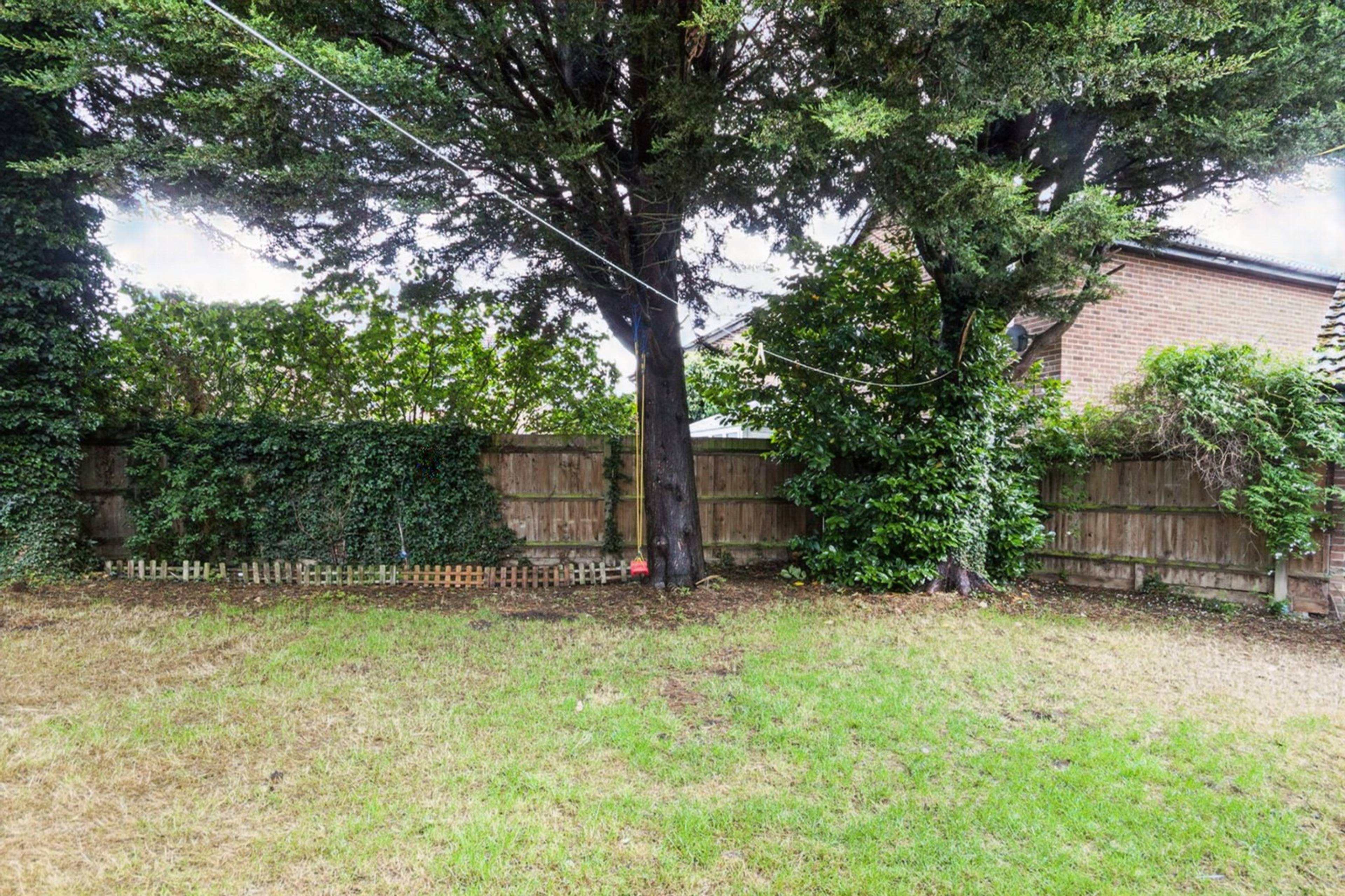Mature Garden