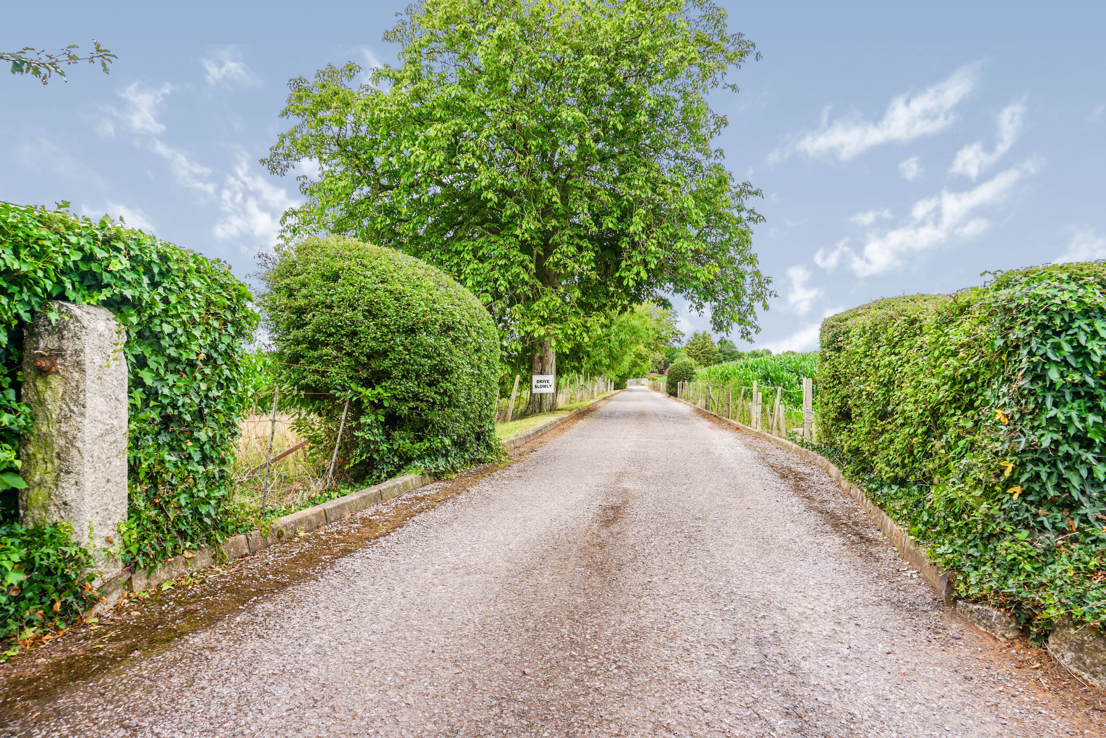 Driveway