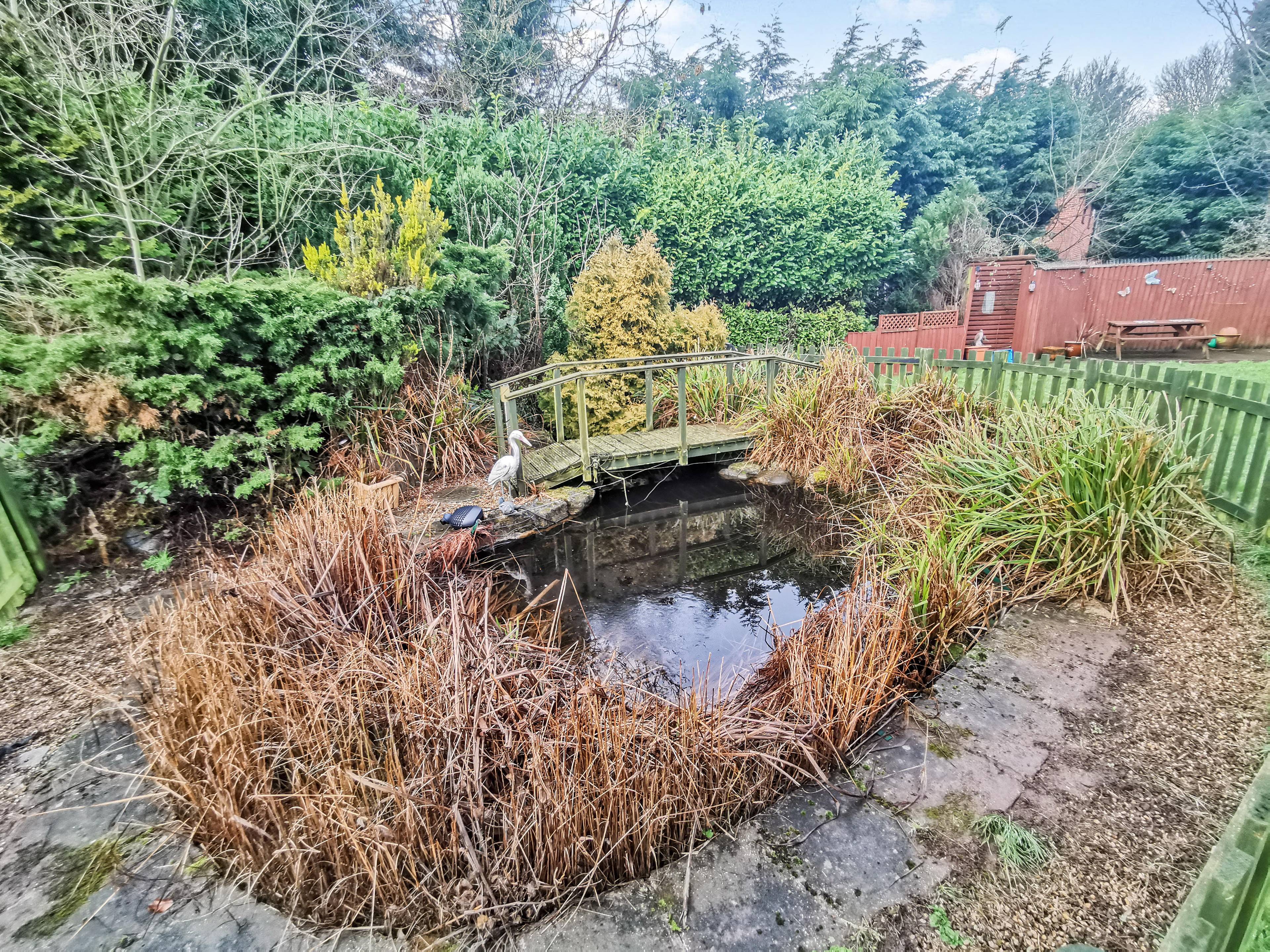 Pond