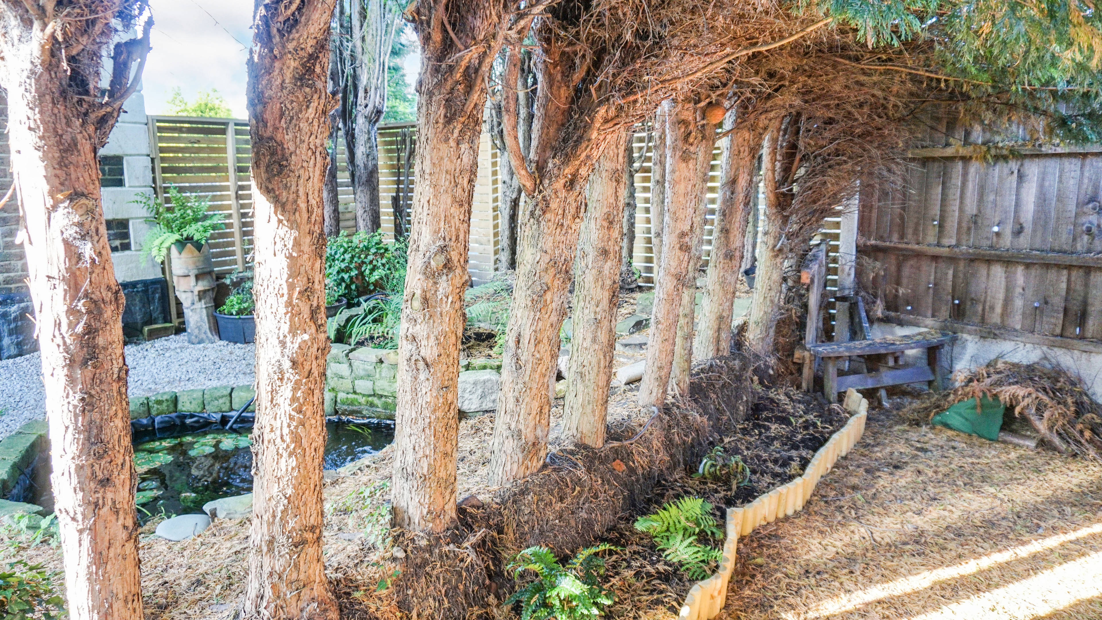 Side Garden